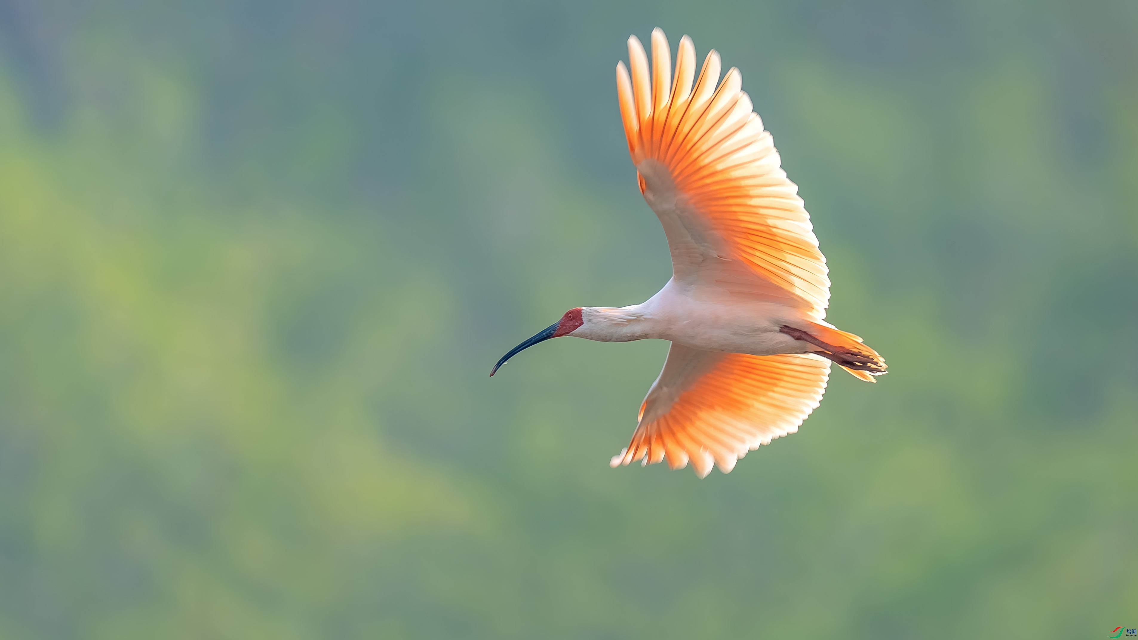 DSC00465 ����_���� ����.jpg