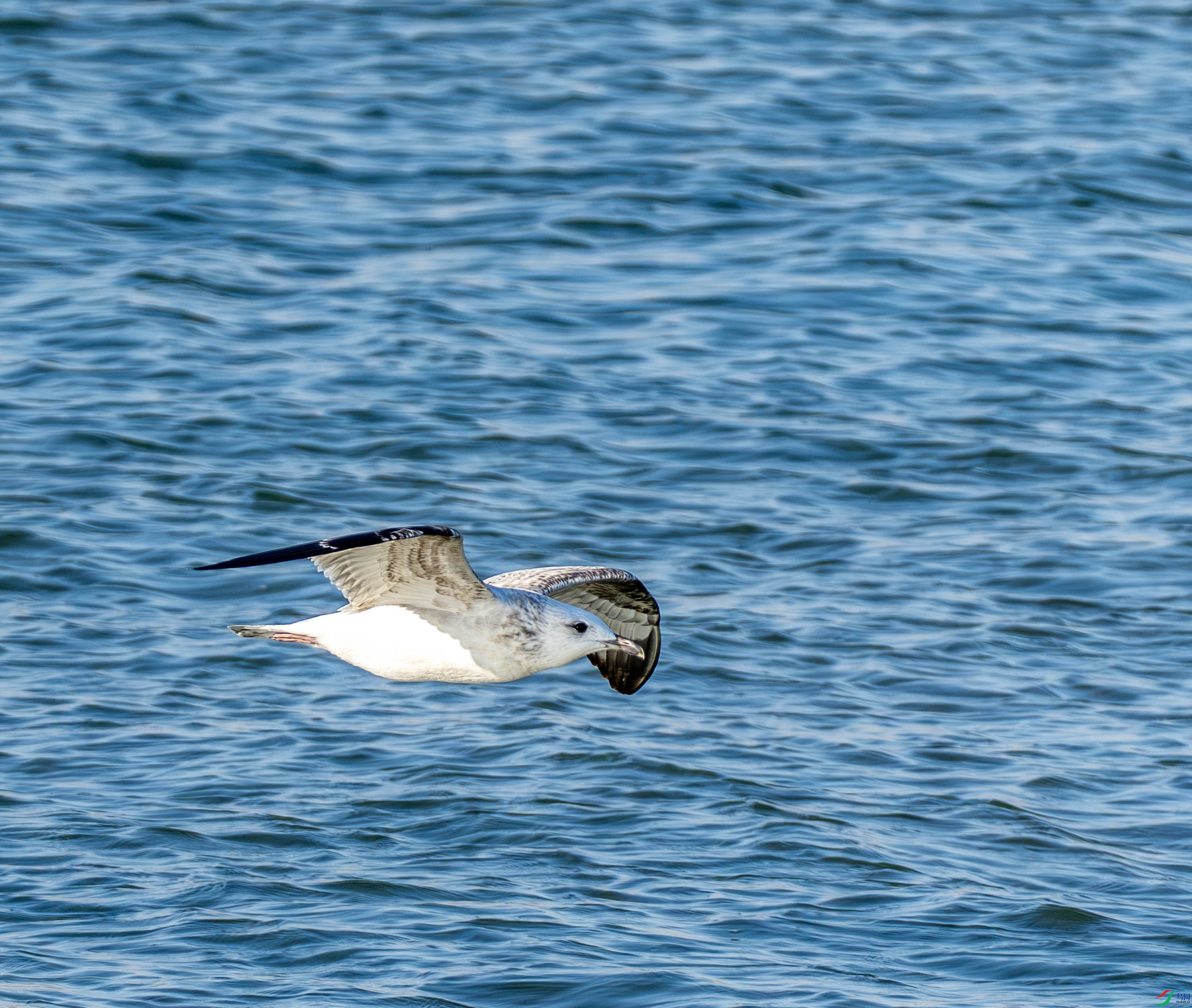 �ﺣ��Ÿ-1-3 (2).jpg