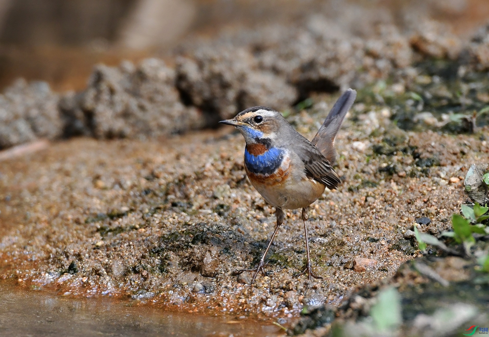 DSC_3265.jpg