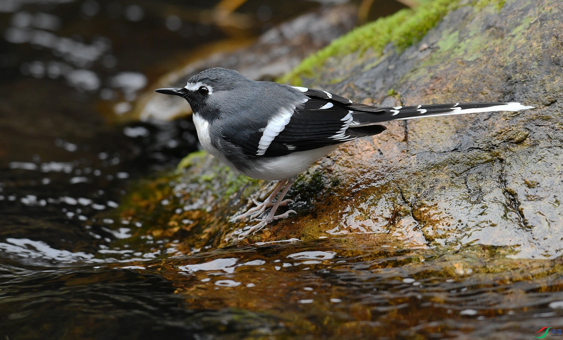 DSC_7841.jpg