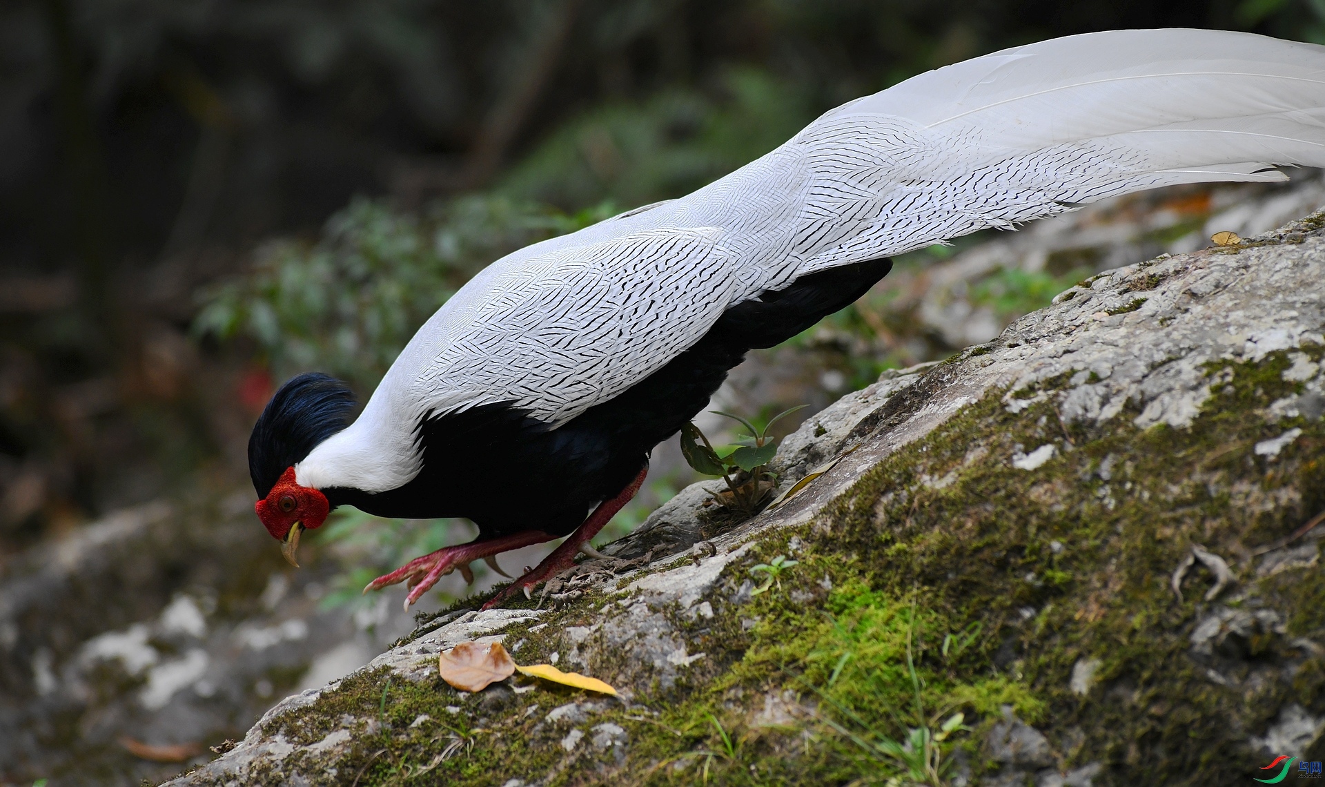 DSC_7661.jpg