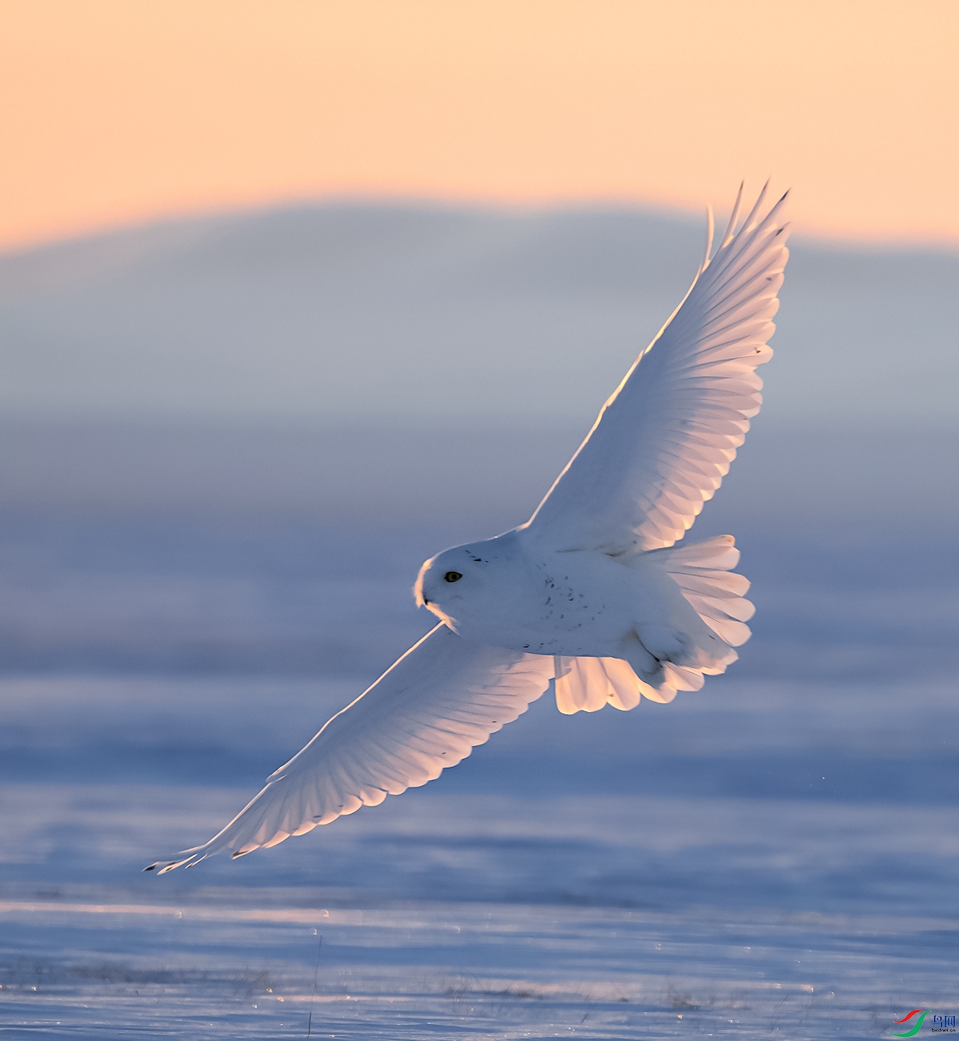 001A7414 ����.jpg