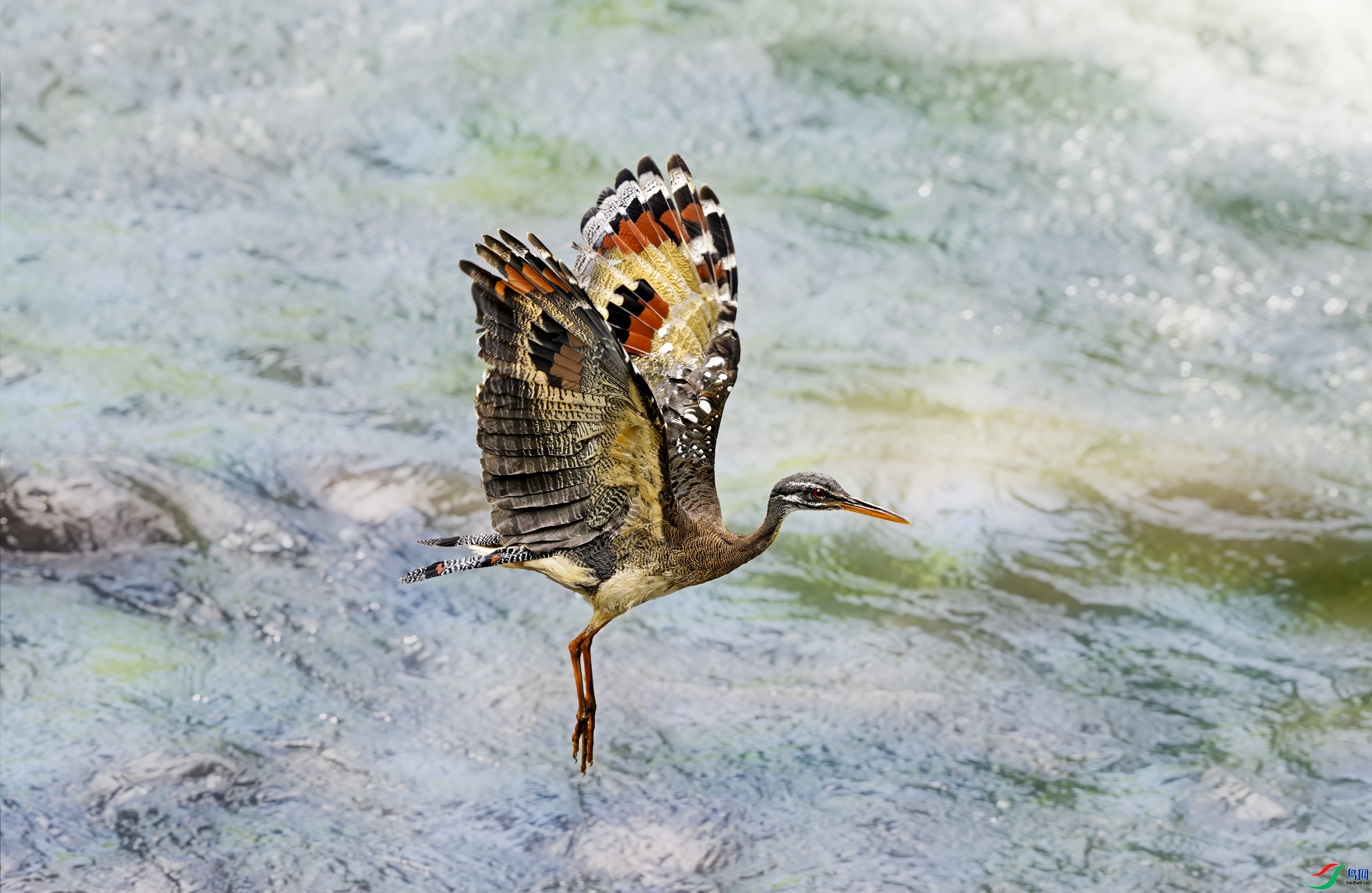 2.21����������ʦ��Ʒ   �� �� �� �� ����ף���ٻ�ÿ�ռ�����.jpg