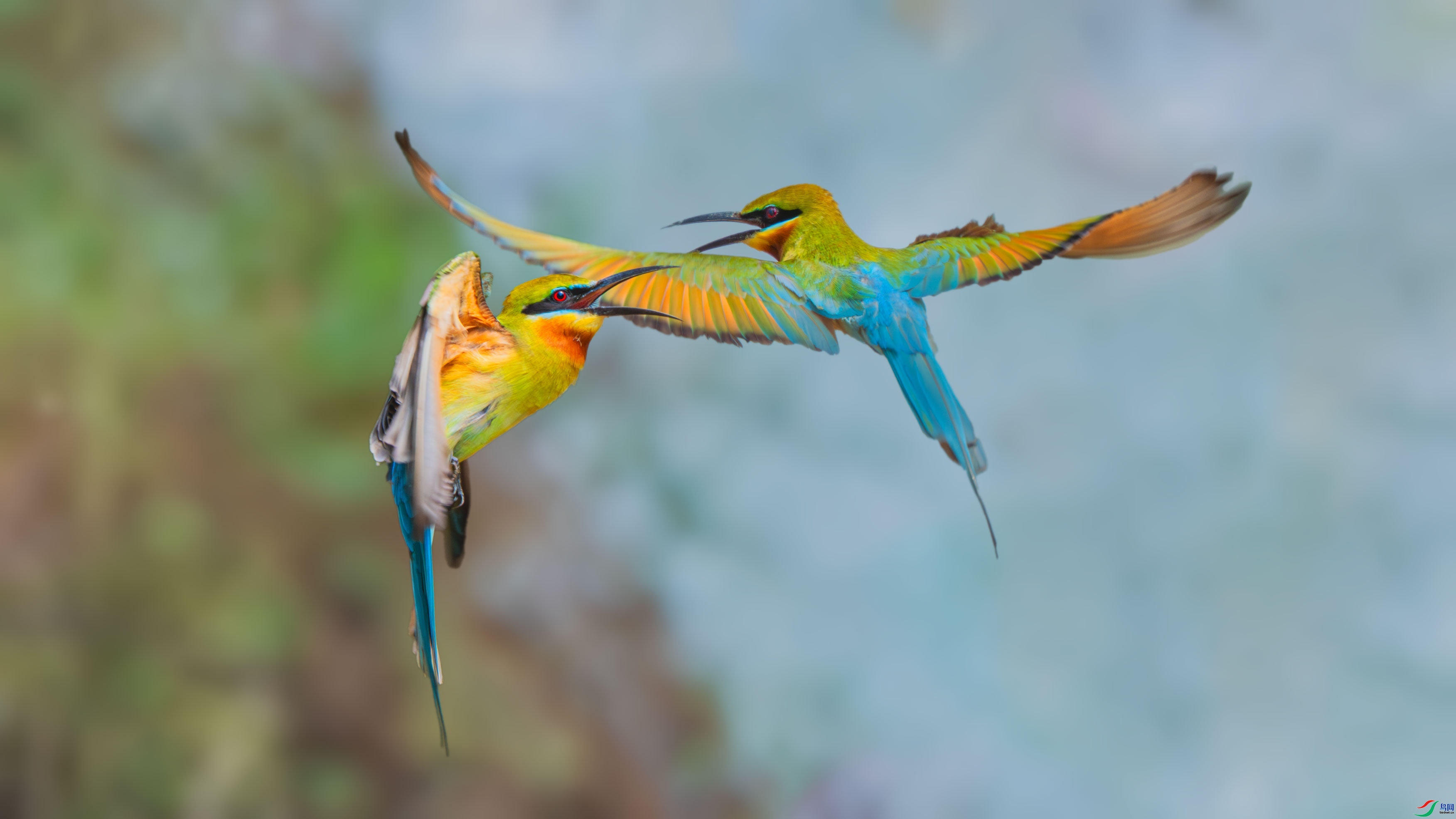 2.22��Ϻ��ʦ��Ʒ   �����仢 ��ף���ٻ���Ӱʦ������.jpg