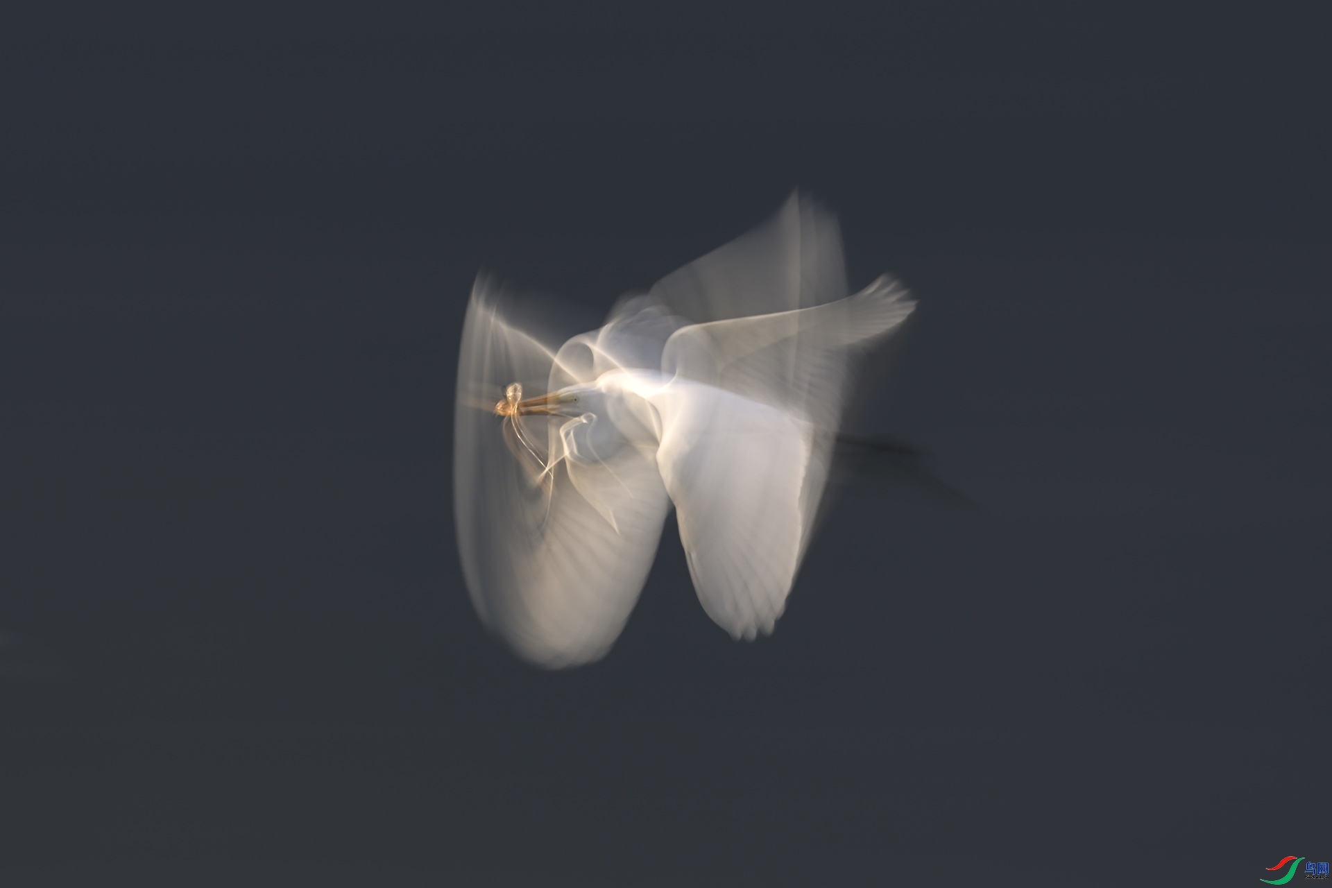 2.23��������ʦ��Ʒ  ���������ף���ٻ���Ӱʦ������.jpg