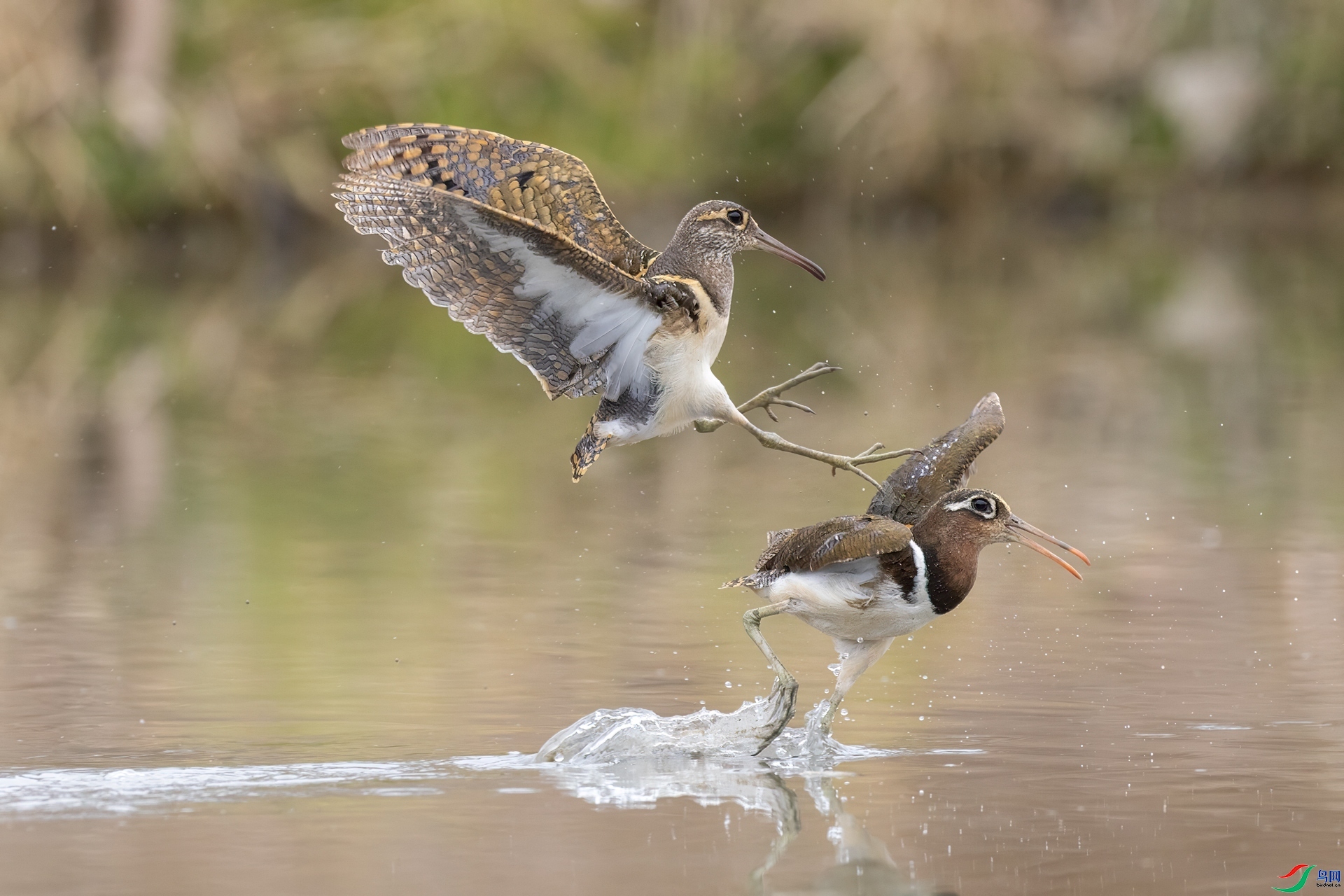 2.26�����˼���ʦ��Ʒ  ׷��ף���ٻ���Ӱʦ������.jpg