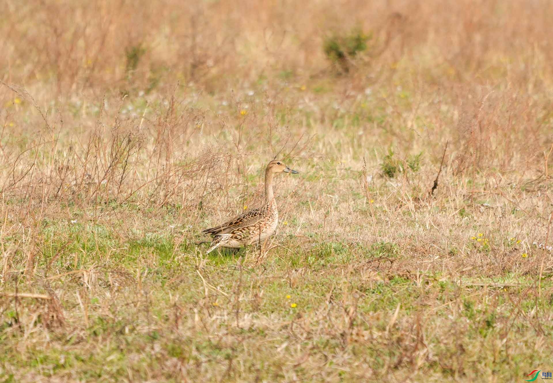 25.JPG