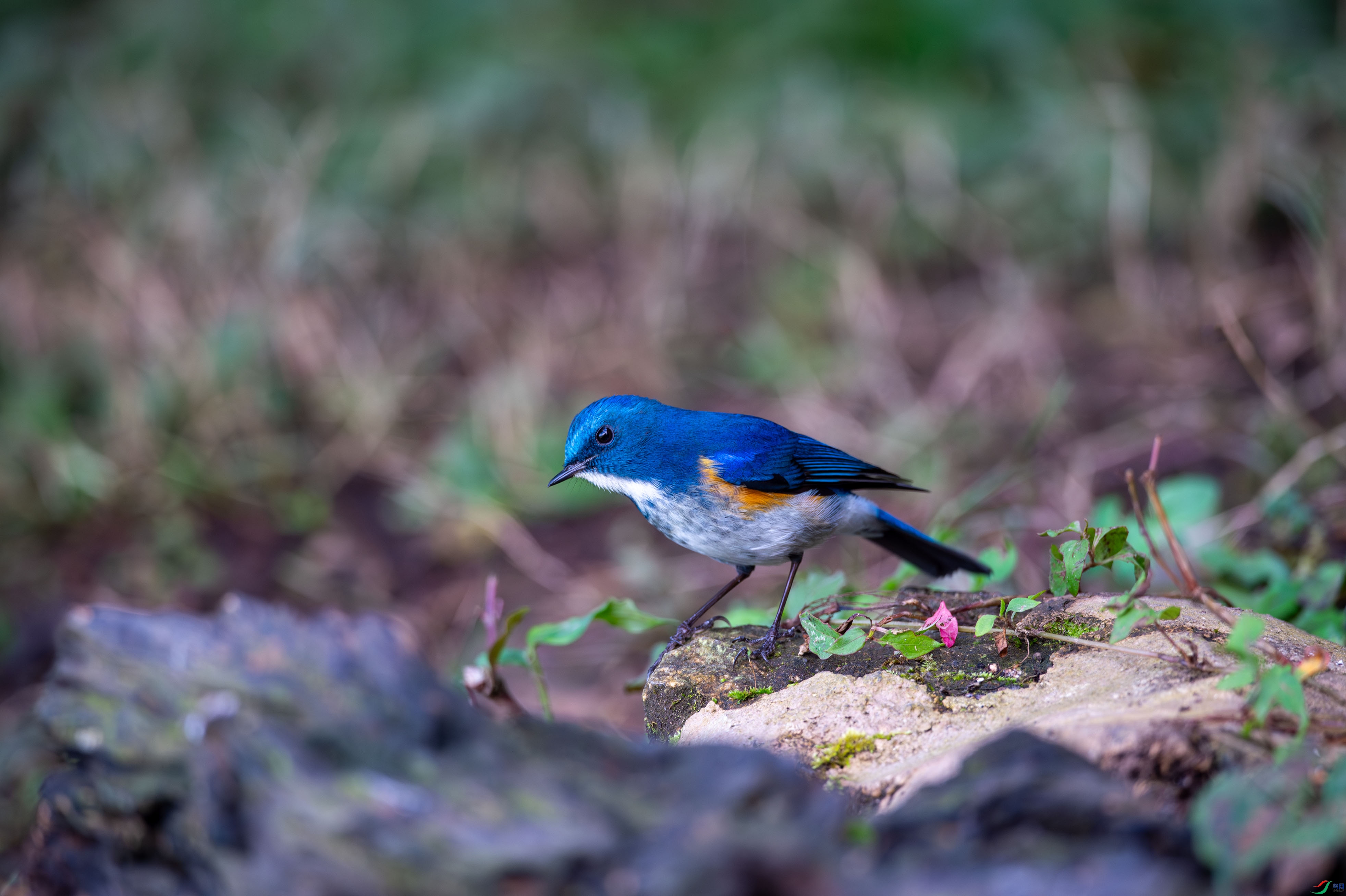 _DSC1080.jpg