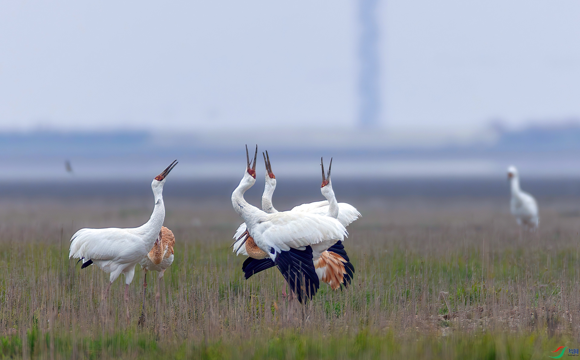 _07A0761------33  .jpg