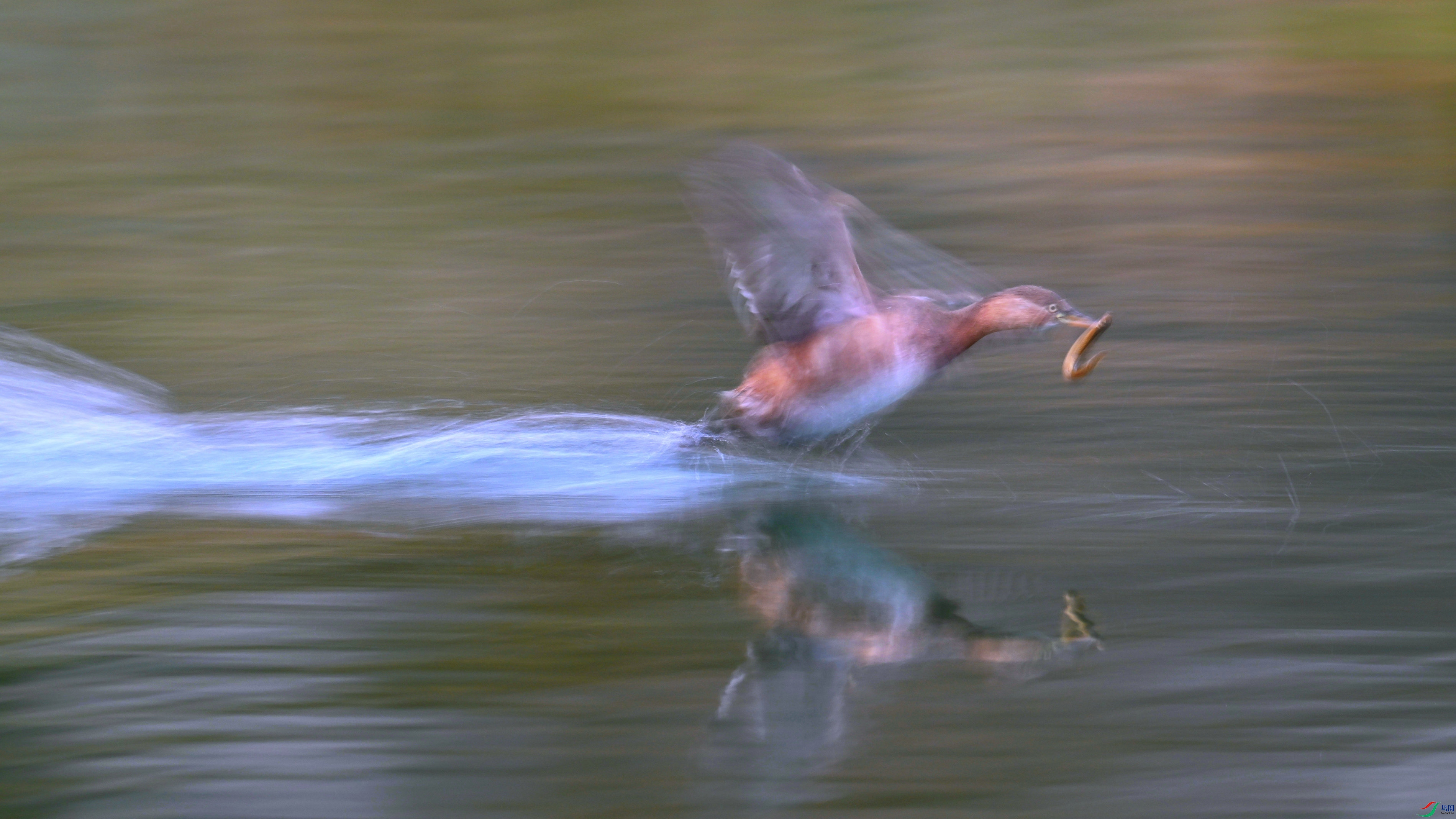 DSC_0117.JPG