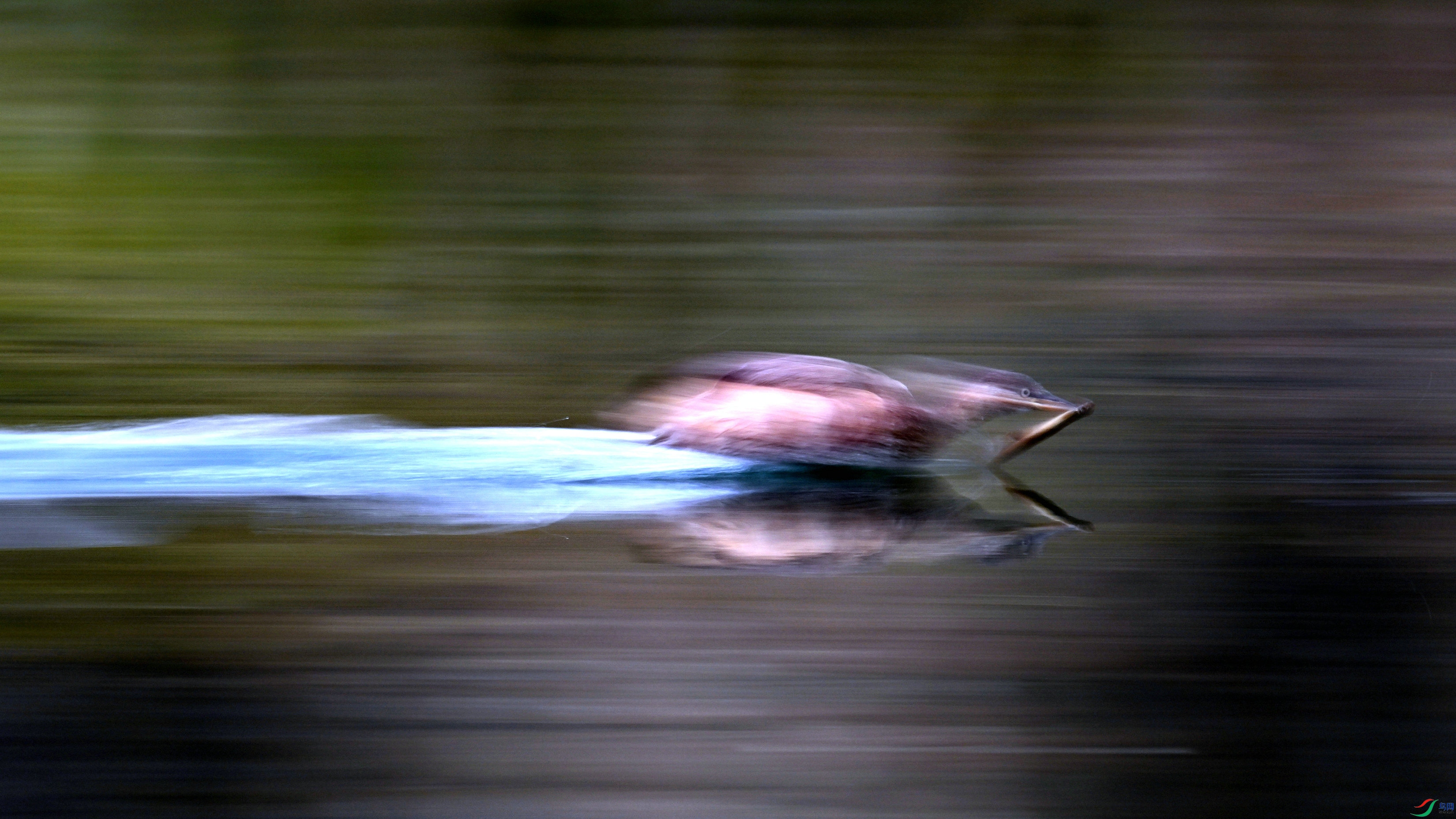 DSC_0122.JPG