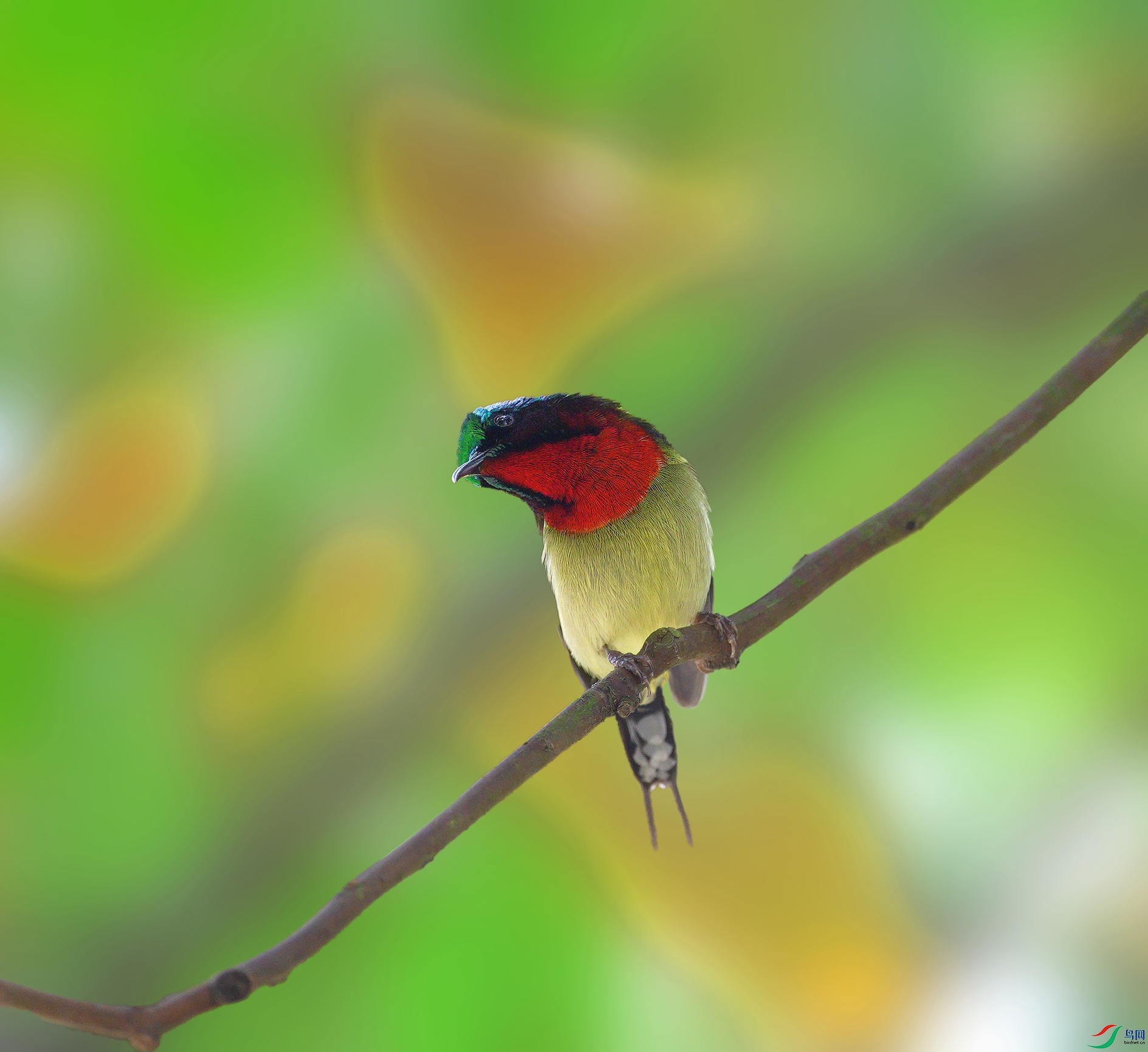 DSC04746 ���� 2-.jpg