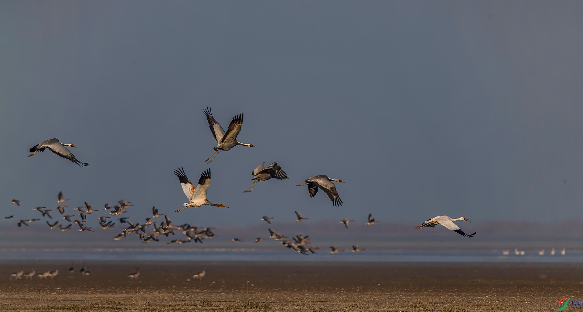 AS7I4062------33  .jpg