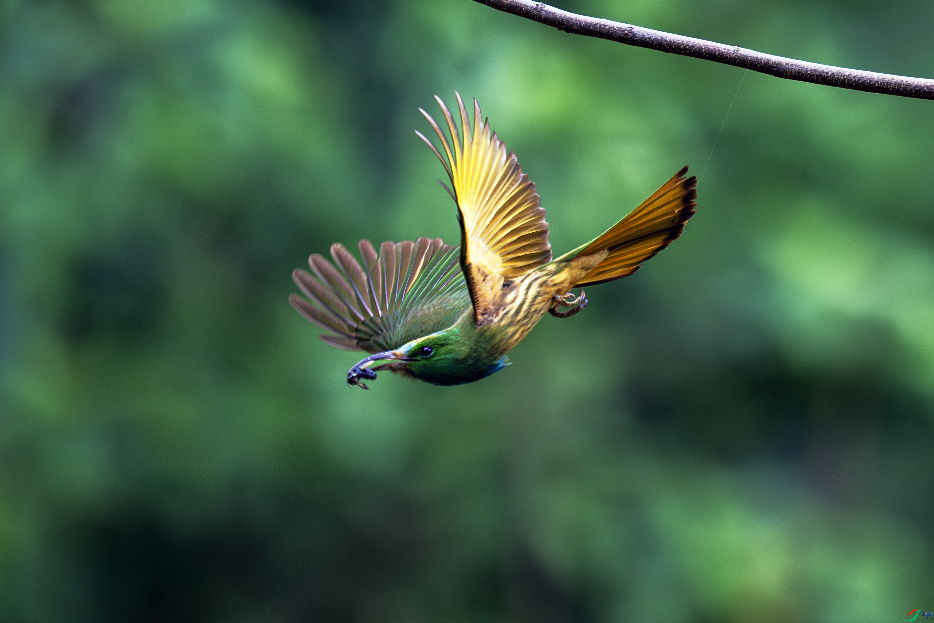 _DSC2288-����ǿ-NR.jpg����ҹ�仢26-02.jpg
