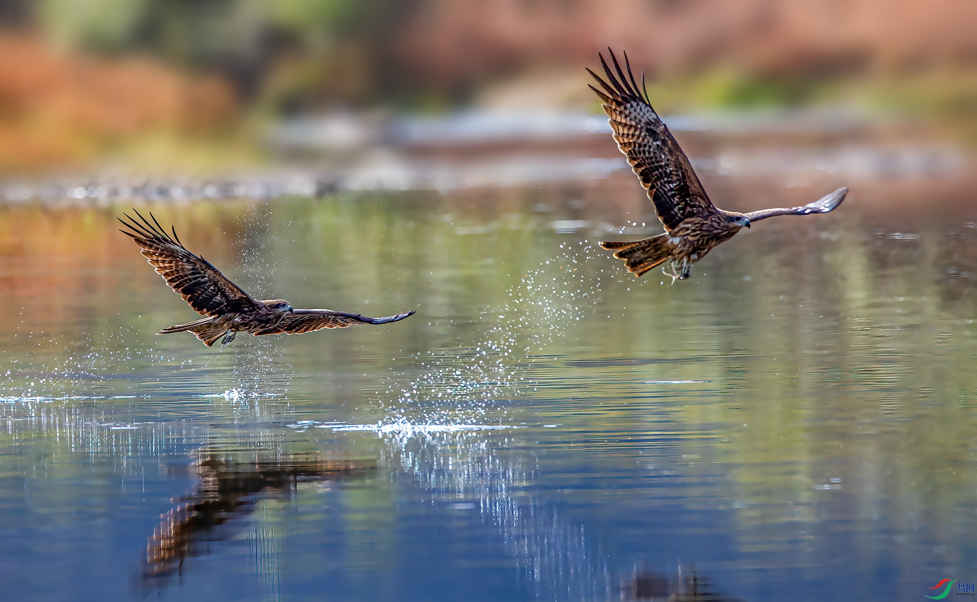 �ڶ��AS7I8675 ����-Sh-----11  .jpg