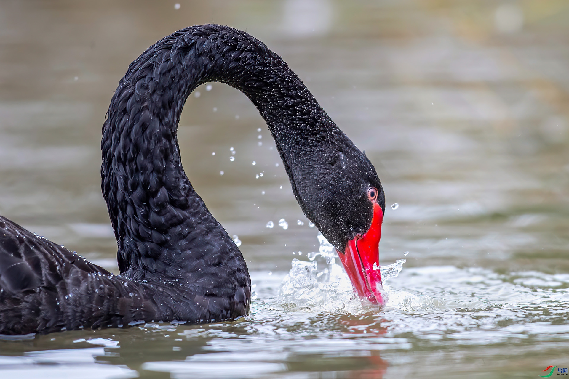 HD002112 ����-Sh----1 .jpg