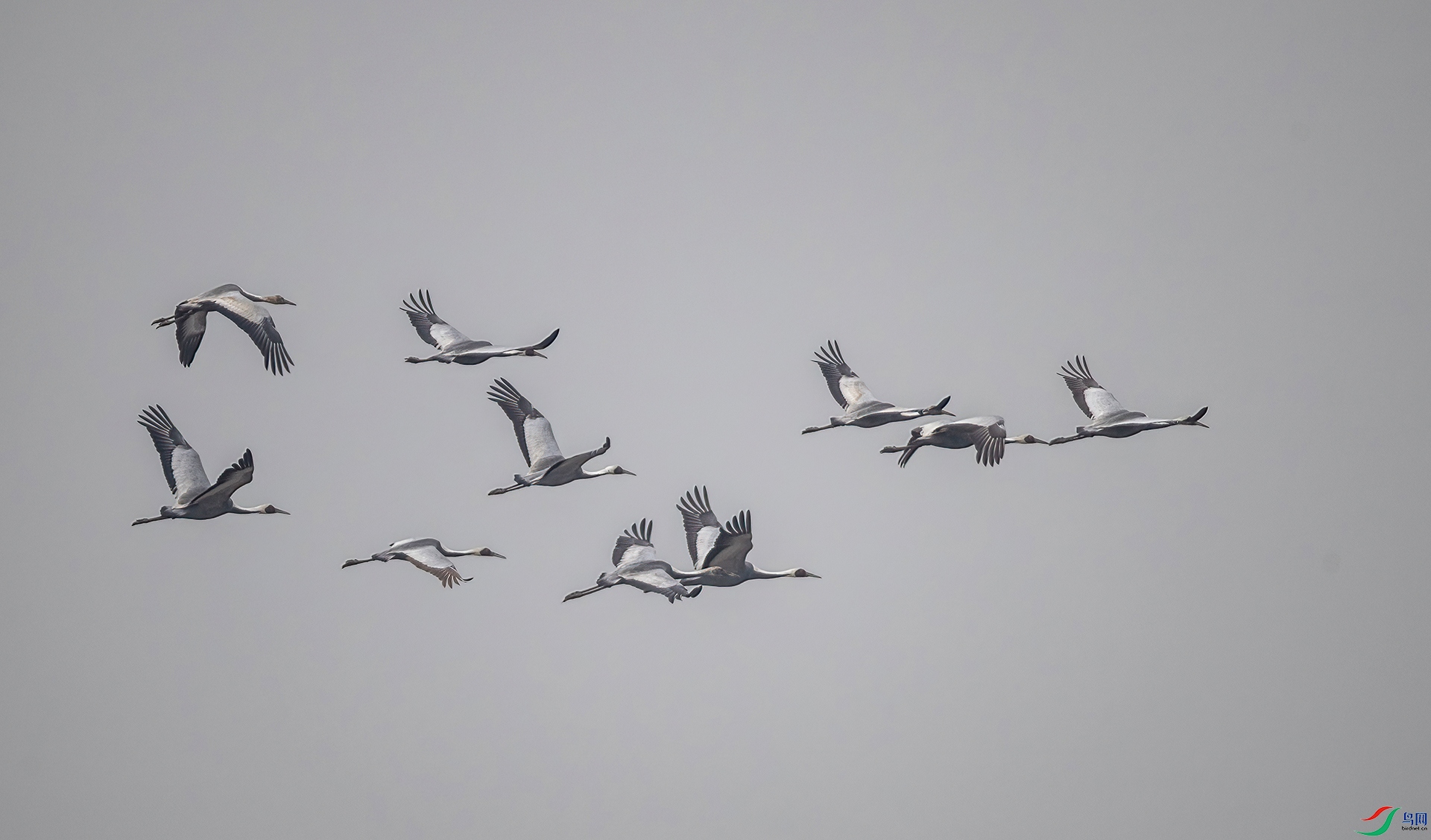 AS7I4378 ����-Sh----1 .jpg