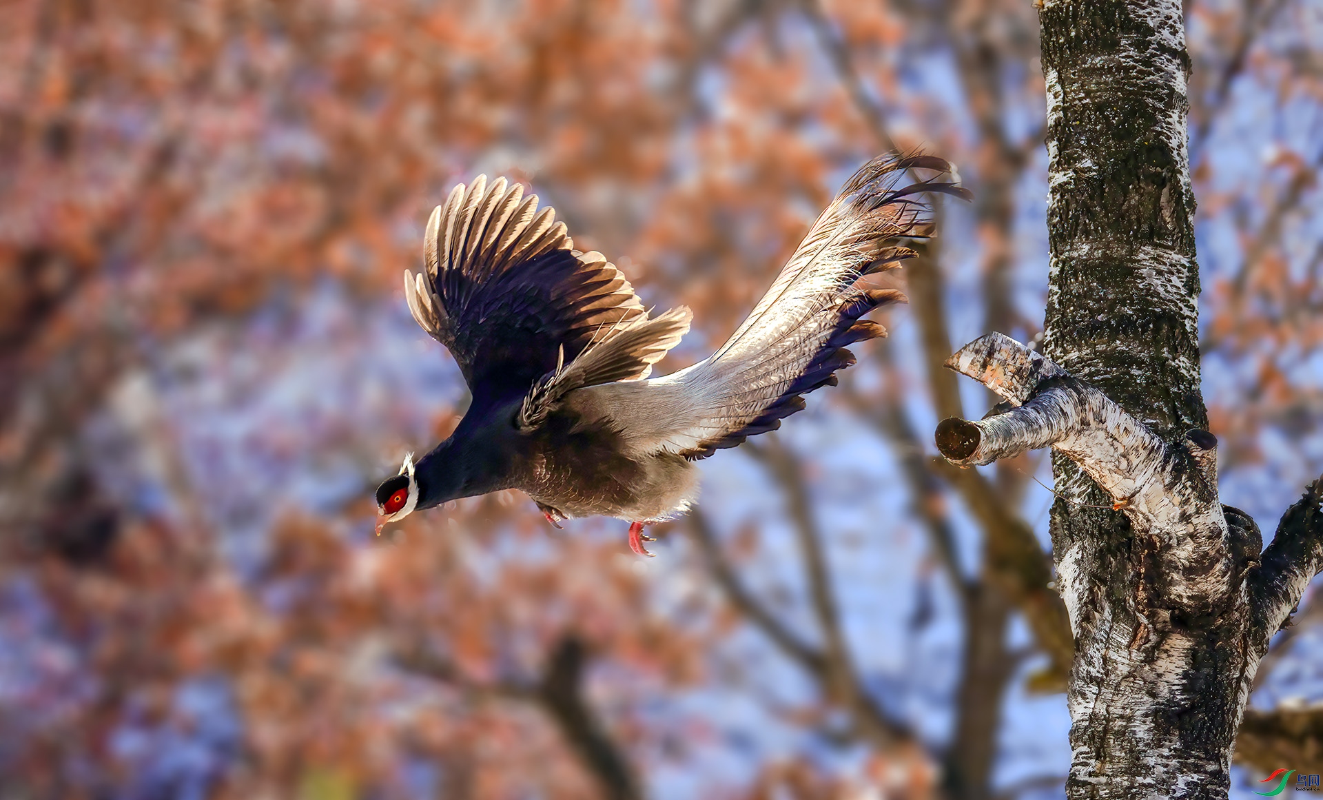 _07A9407 ����-Sh----1 .jpg