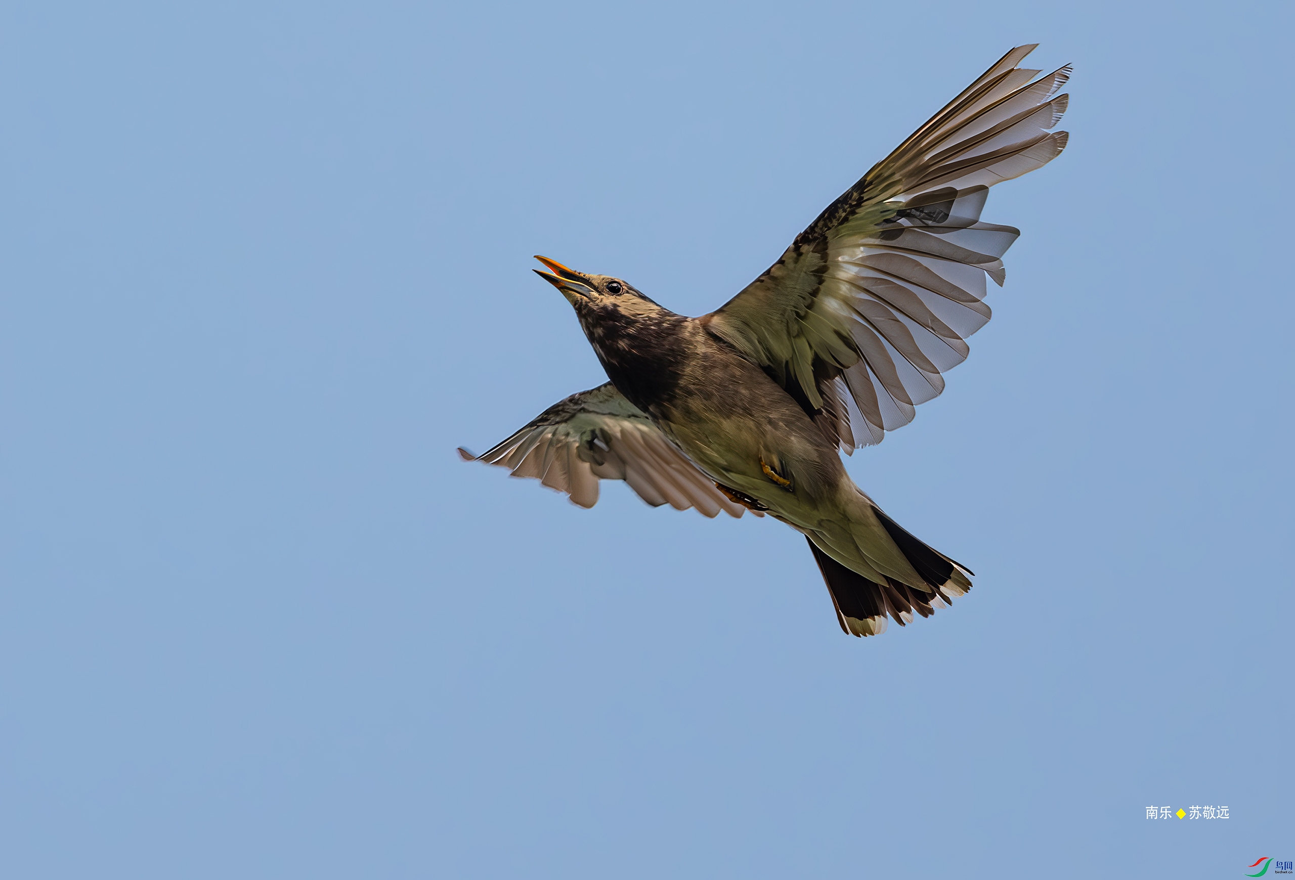 _DSC3337-DxO_С.jpg
