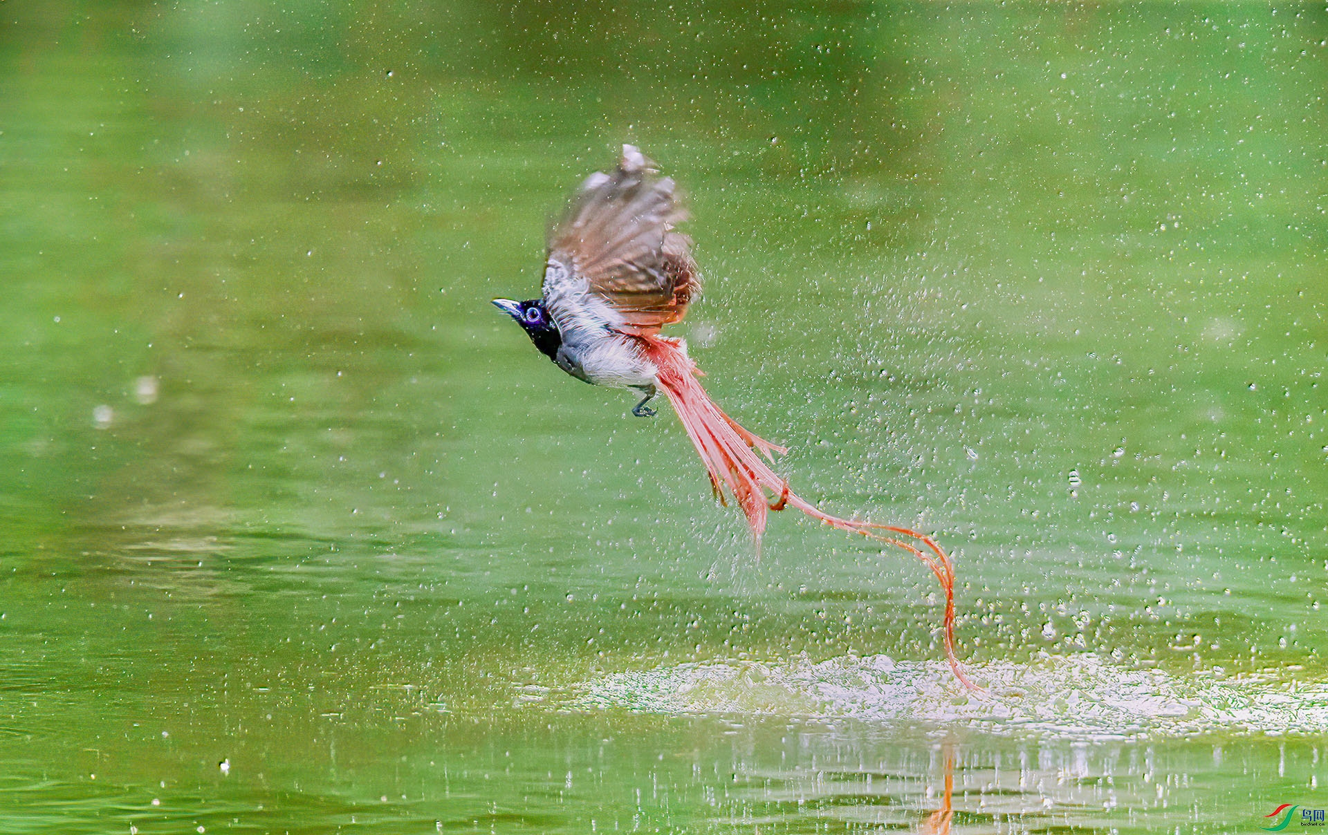 _S7I2314 ����-Sh-----1 .jpg