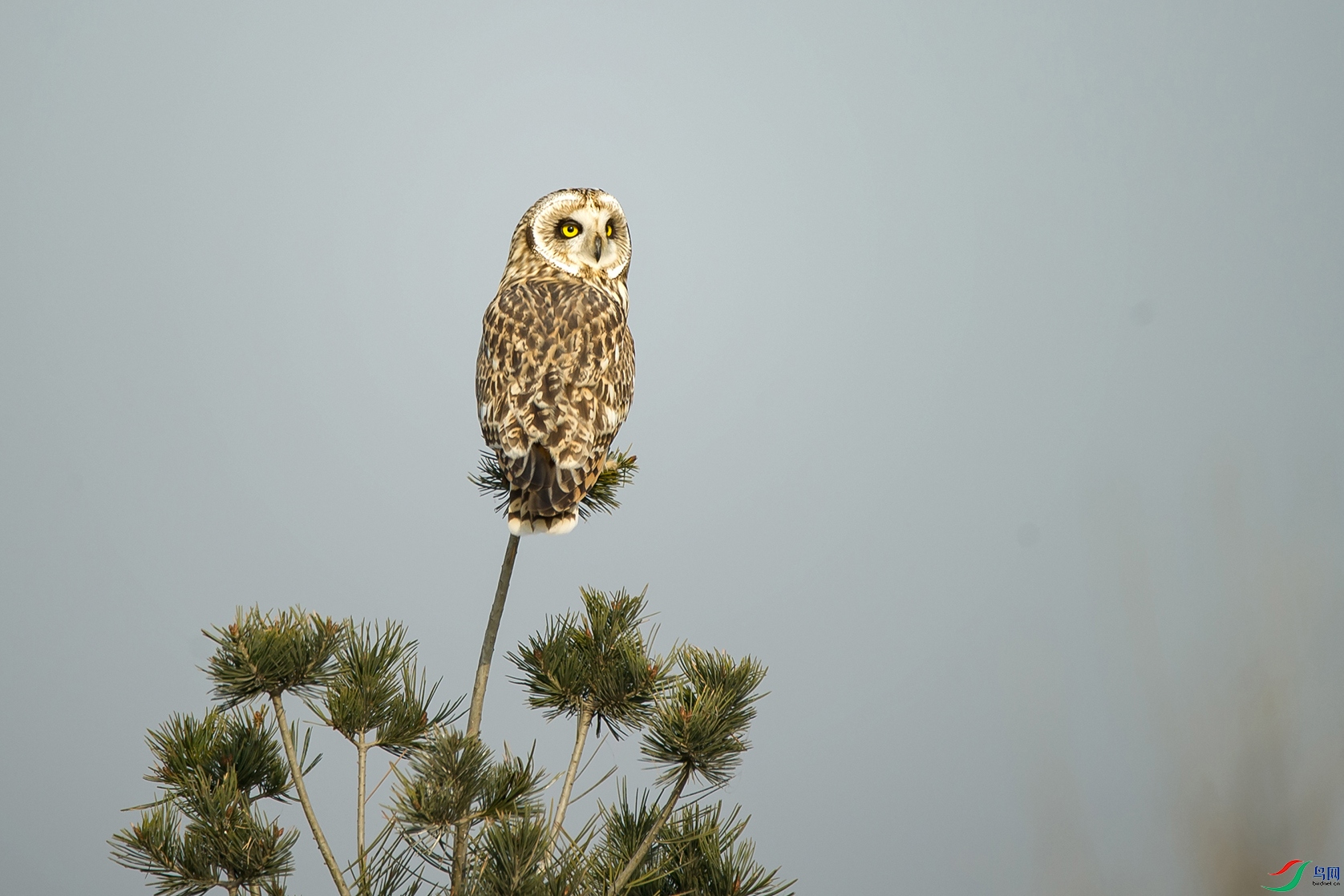 DSC_0184-20201206�ü�.jpg
