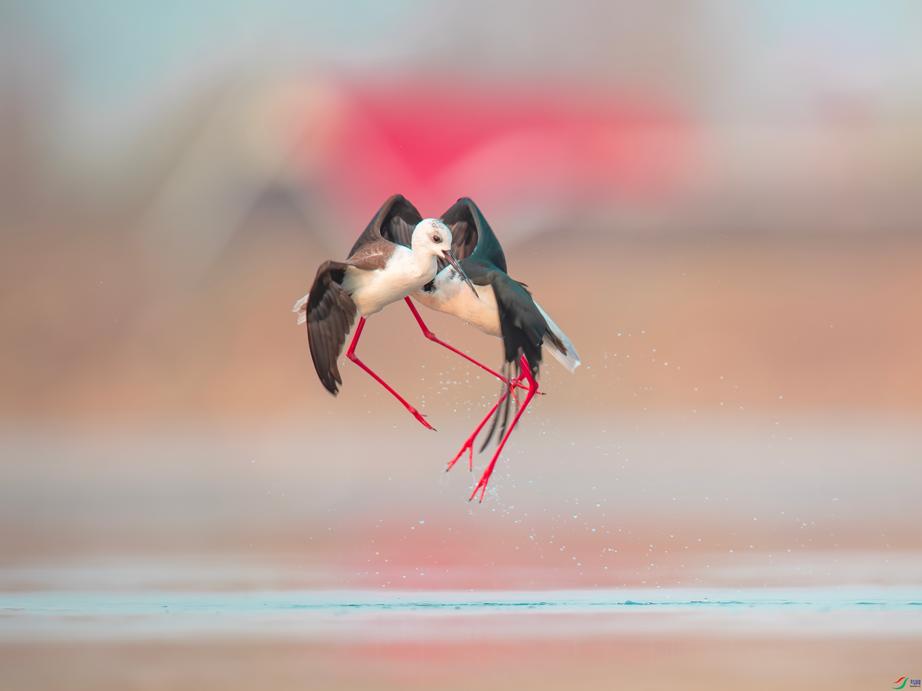 �ڳ᳤���� (16).jpg