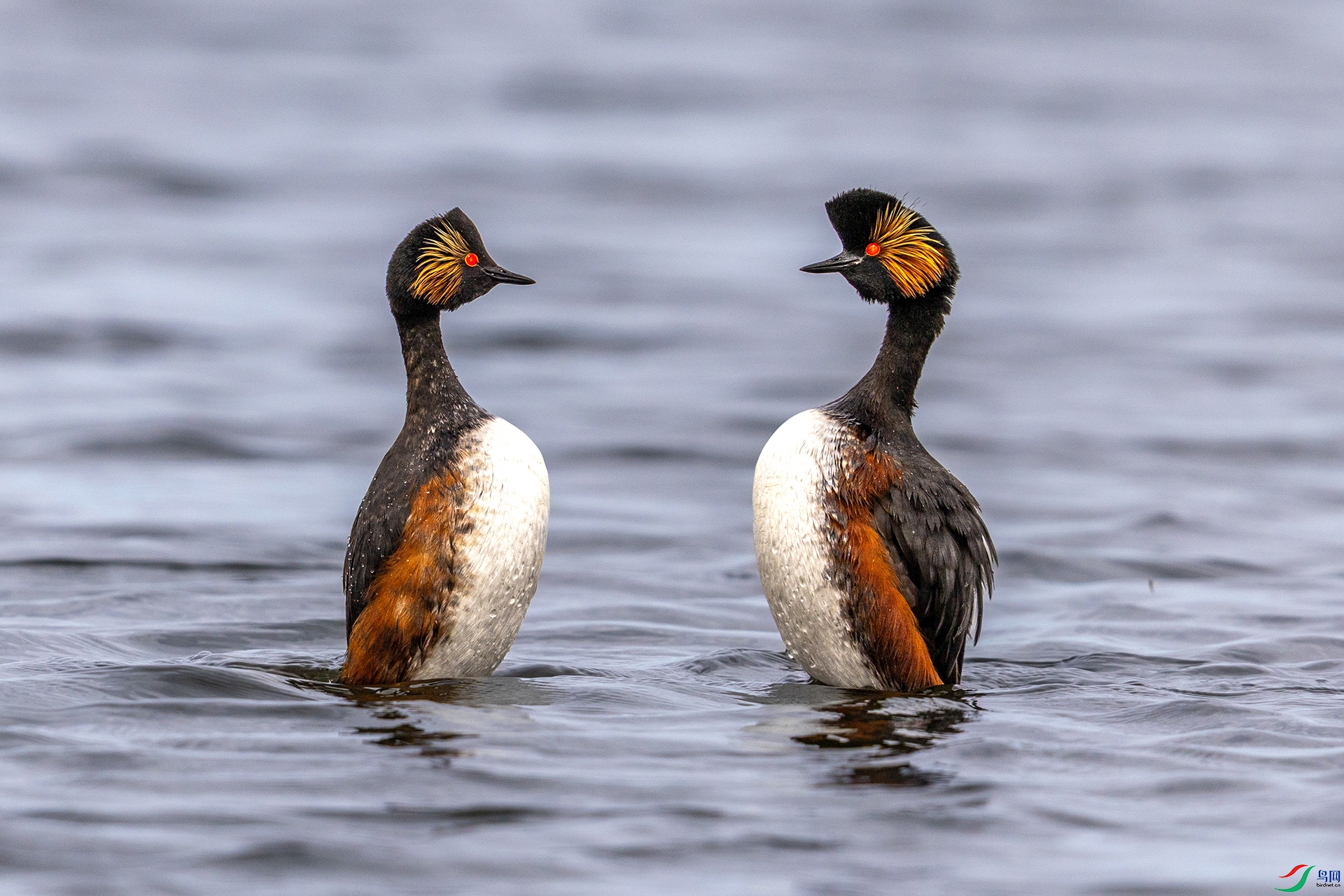 227A8170 ����.jpg