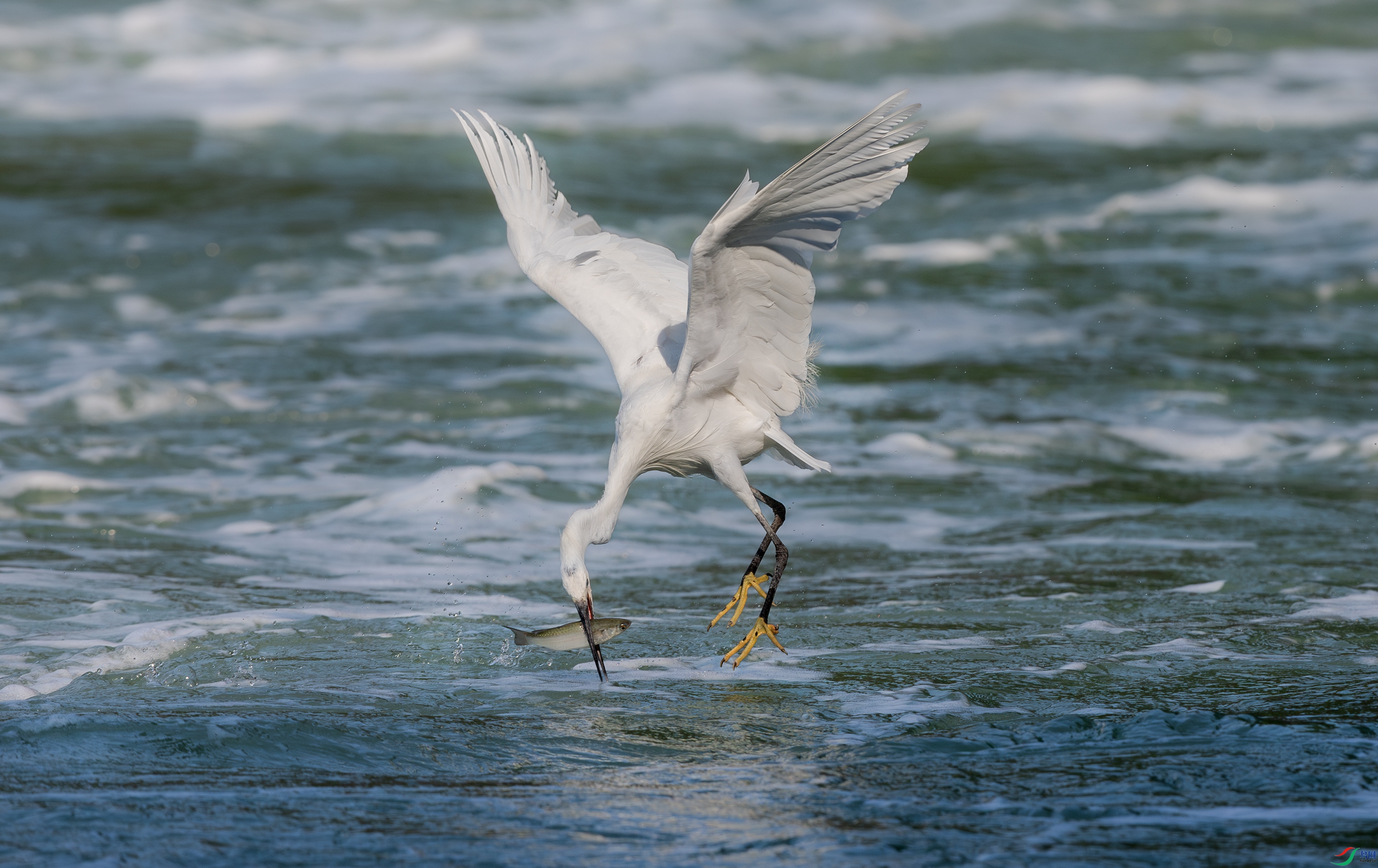 063A6089-����ǿ-NR ����.jpg