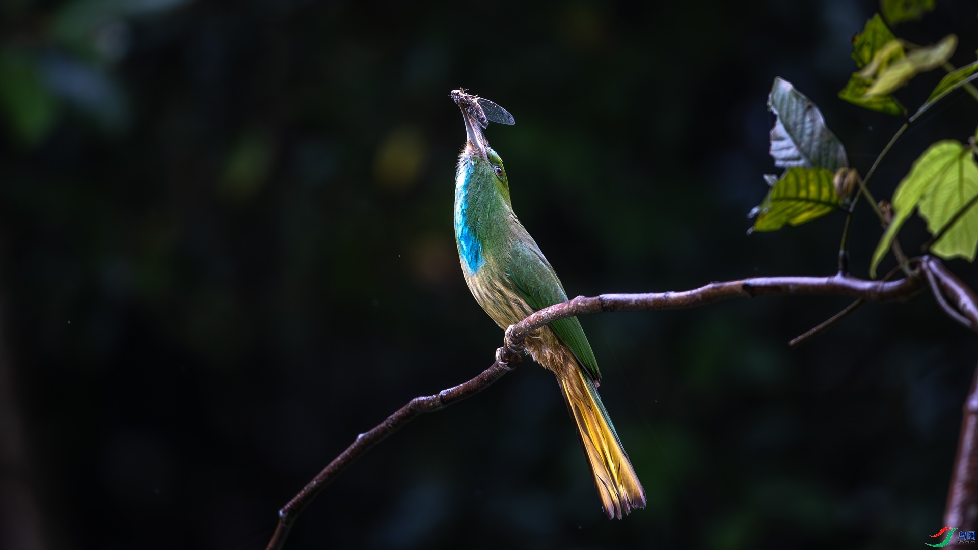 2.26 ������ʦ��Ʒ  ����ҹ�仢  �ٻ�2026��2��26�ջ�Ա��ҳ����.jpg