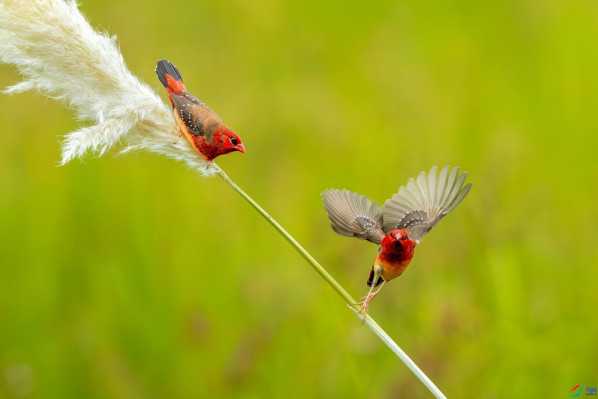 2.28 �ɵ���ʦ��Ʒ  ��÷��ȸ  �ٻ�2026��2��28����Ӱʦ��ҳ����.jpg