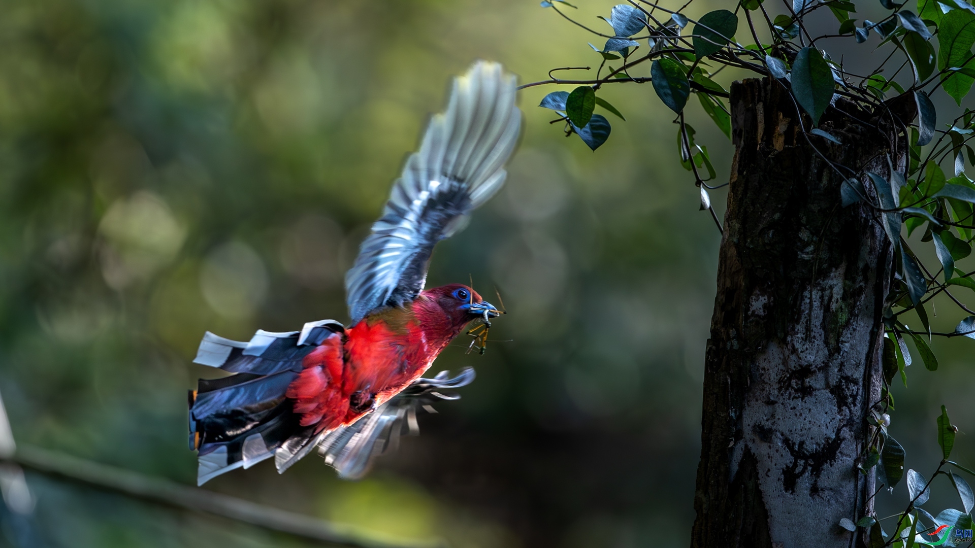 2.27 ������@��ʦ��Ʒ  ��ʳ  �ٻ�2026��2��27�ջ�Ա��ҳ����.jpg