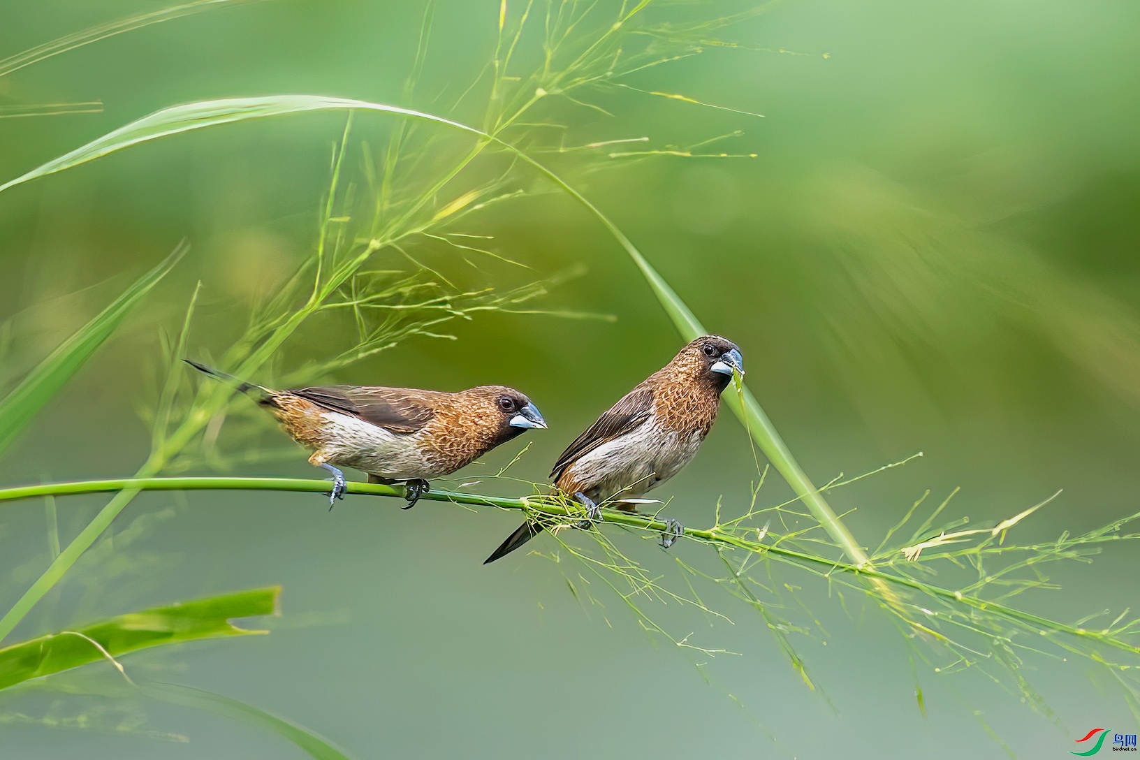 2.28 ������ʦ��Ʒ  ��������  �ٻ�2026��2��28����Ӱʦ��ҳ����.jpg