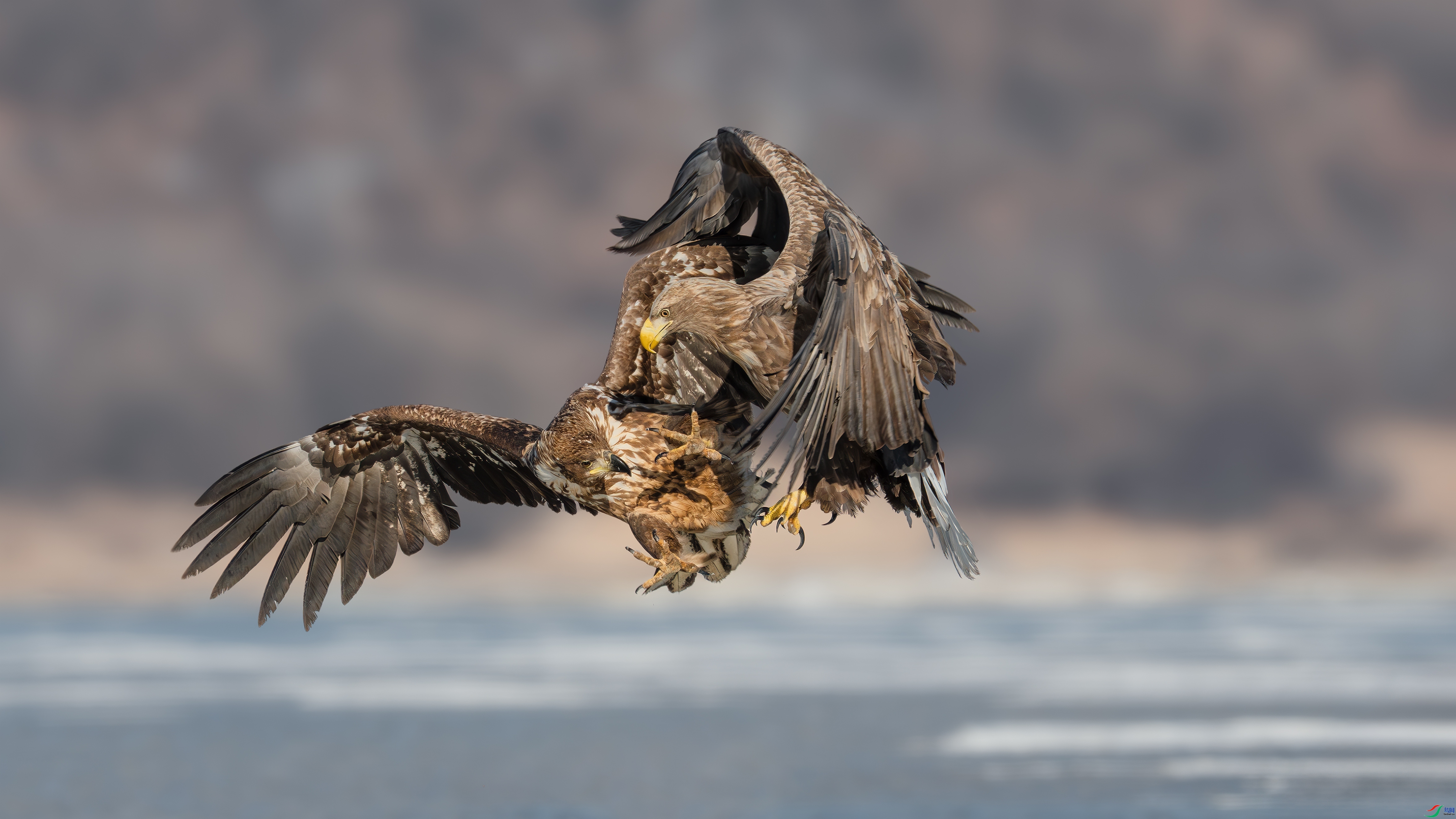 2.28 С�׺���ʦ��Ʒ  �д�һ��  �ٻ�2026��2��28�հ�����ҳ����.jpg