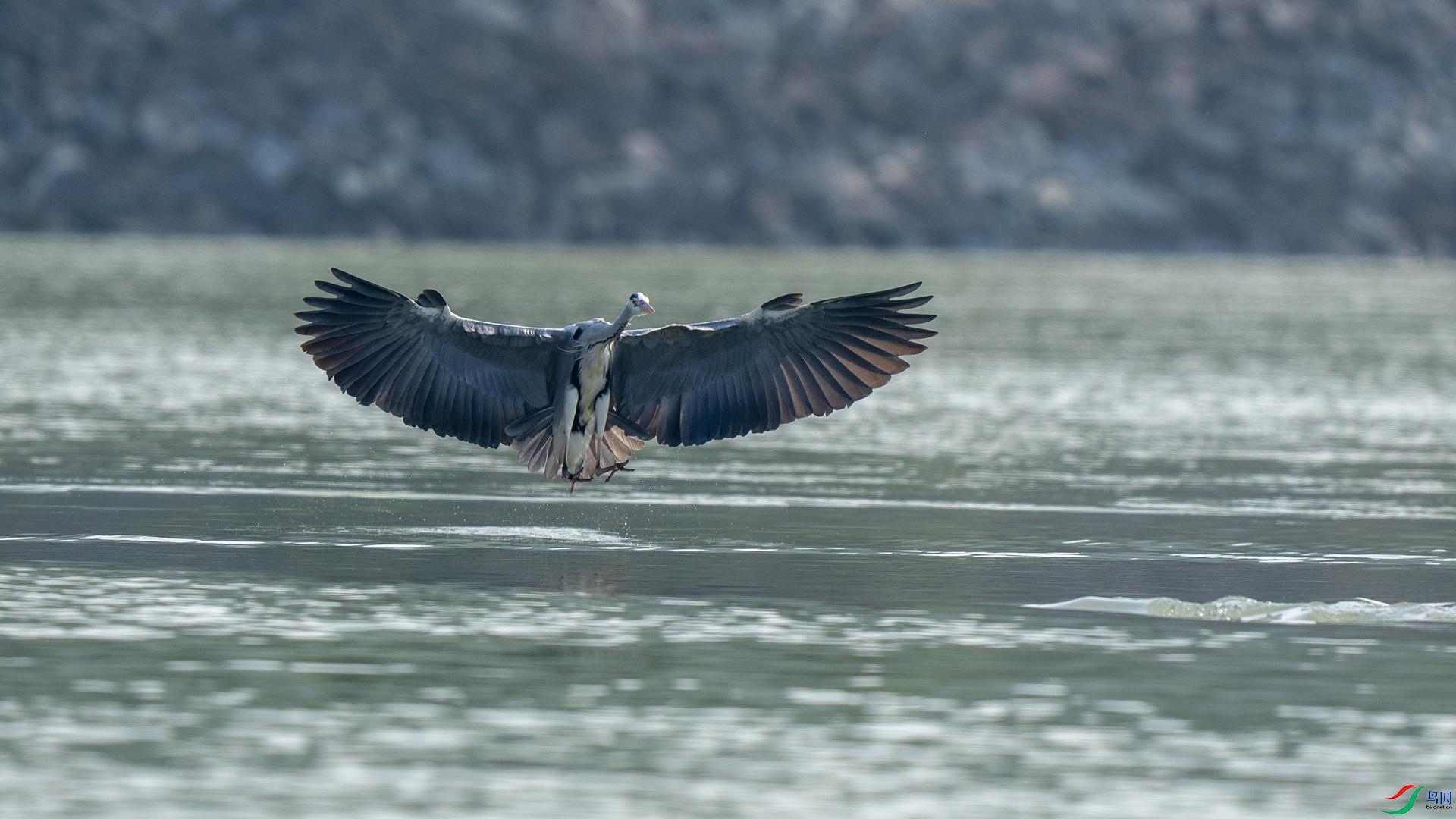 DSC07115 ����.jpg