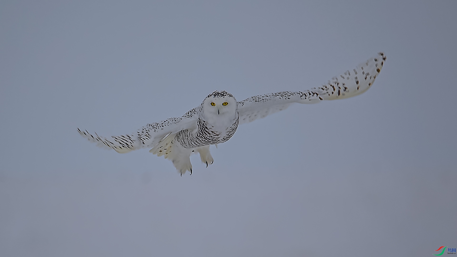 DSC_5822 ����.jpg