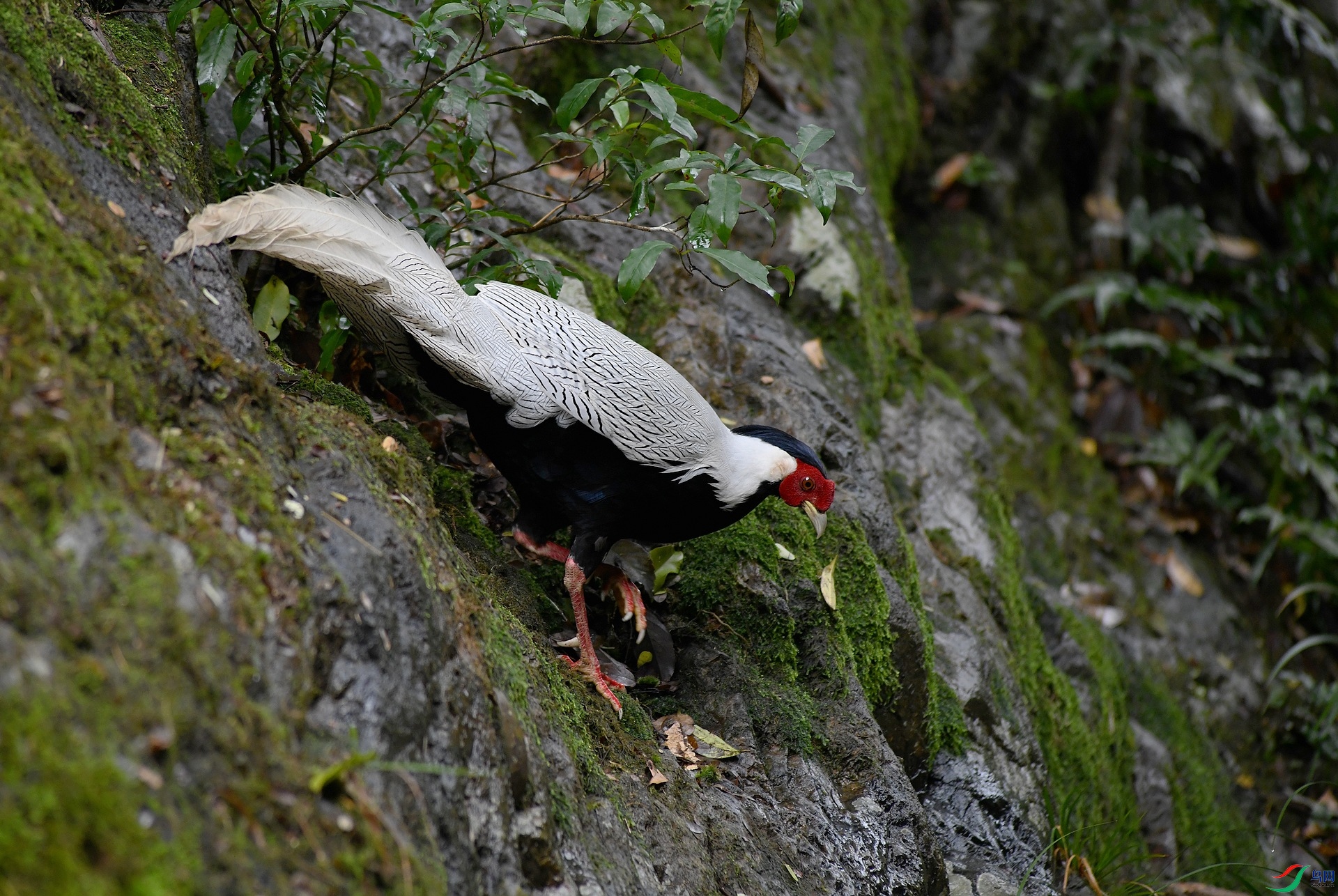 DSC_1045.jpg