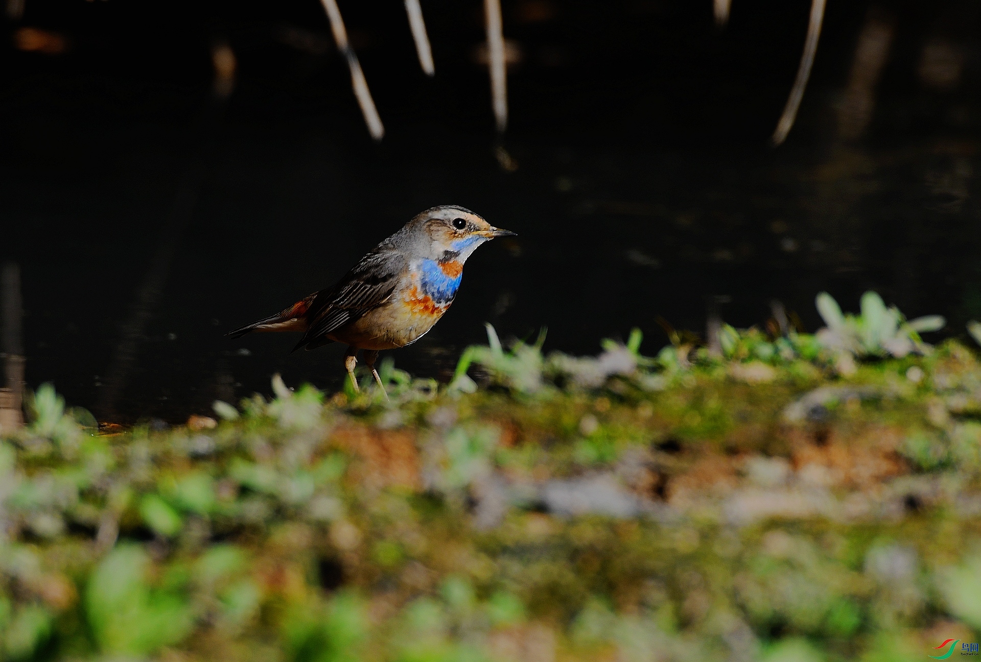 DSC_4845.jpg