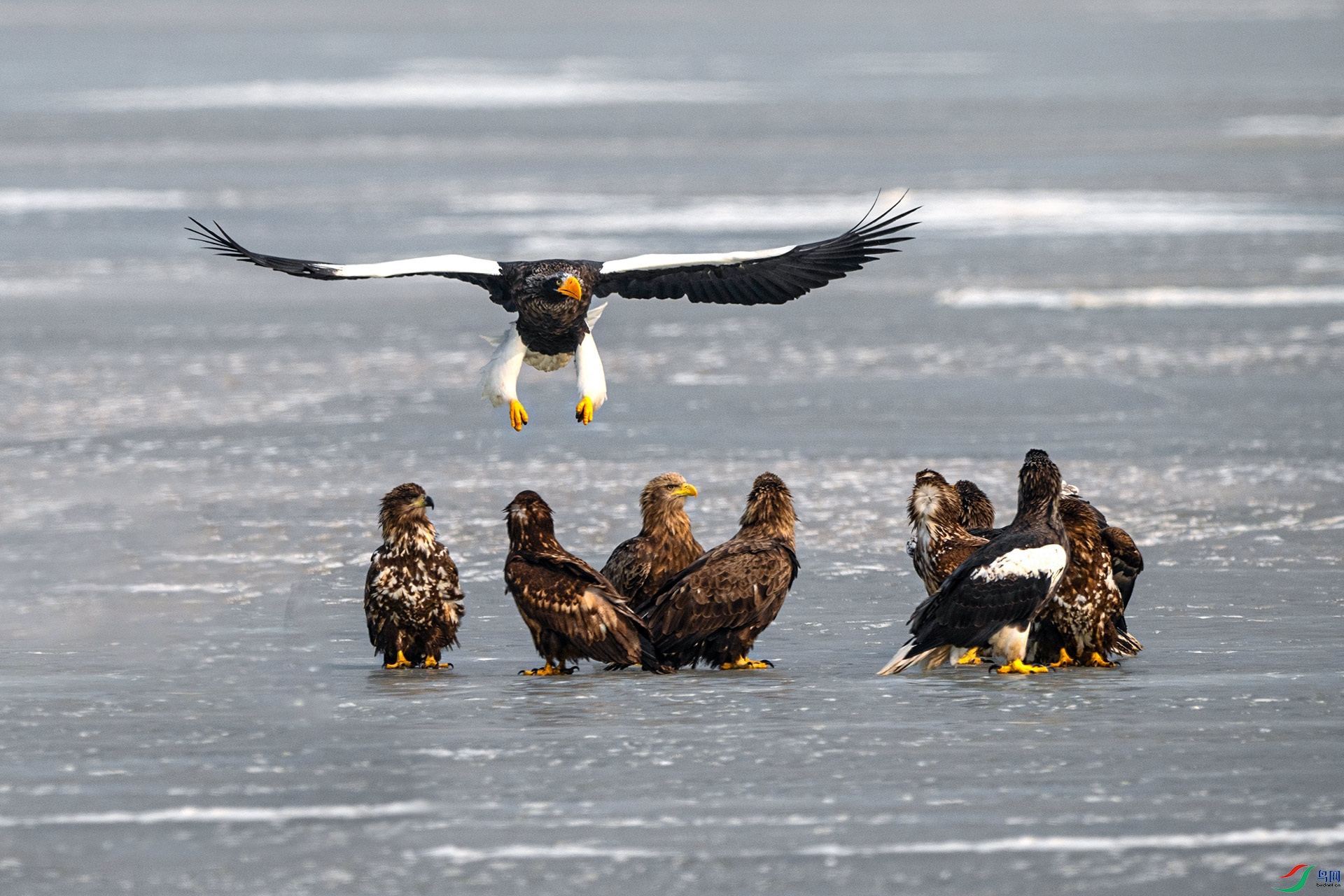 ��ͷ��