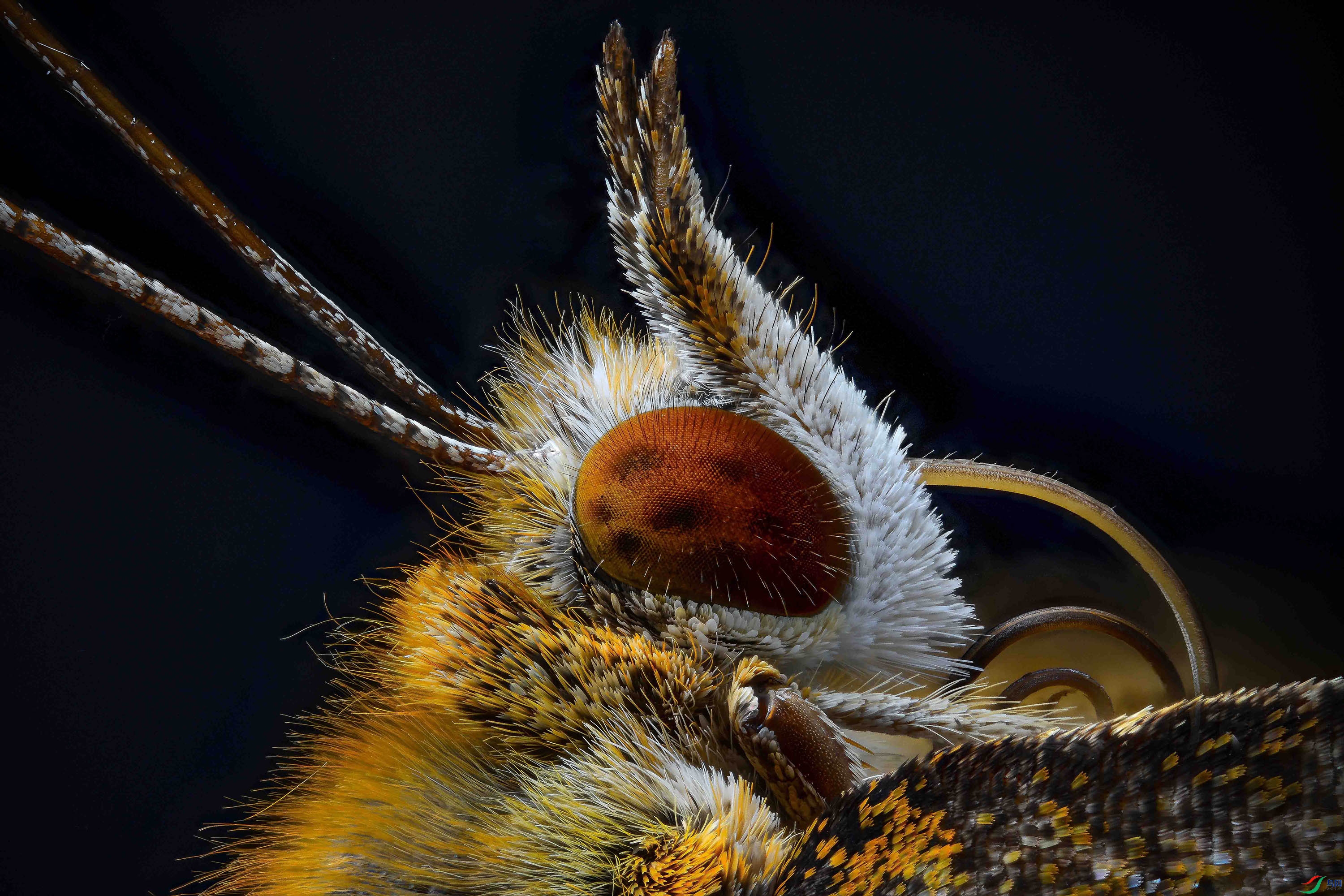 2025-09-02 14-42-01 (C,Smoothing4)-0-1.jpg