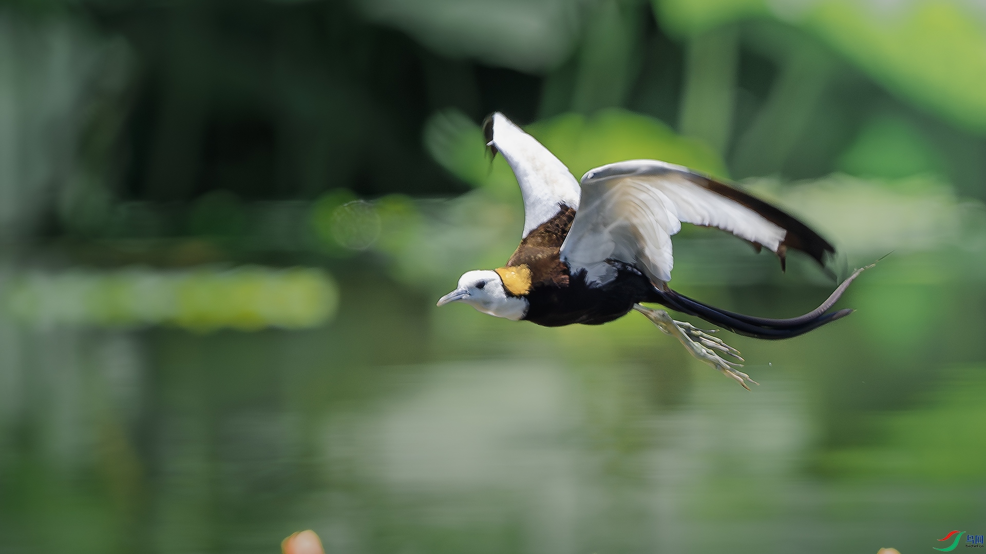 DSC_5948-����ǿ-NR ����.jpg