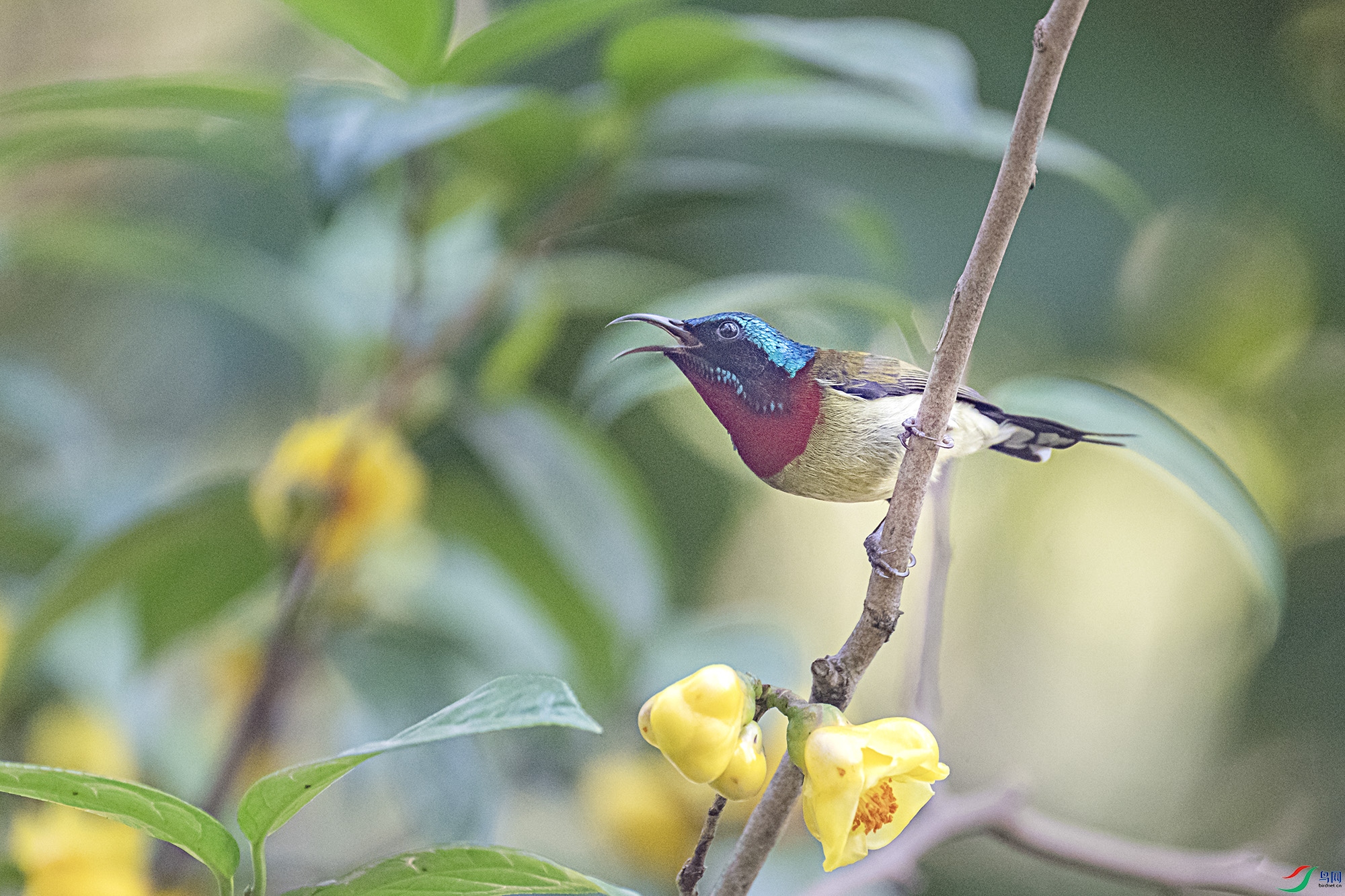DSC_6668.jpg