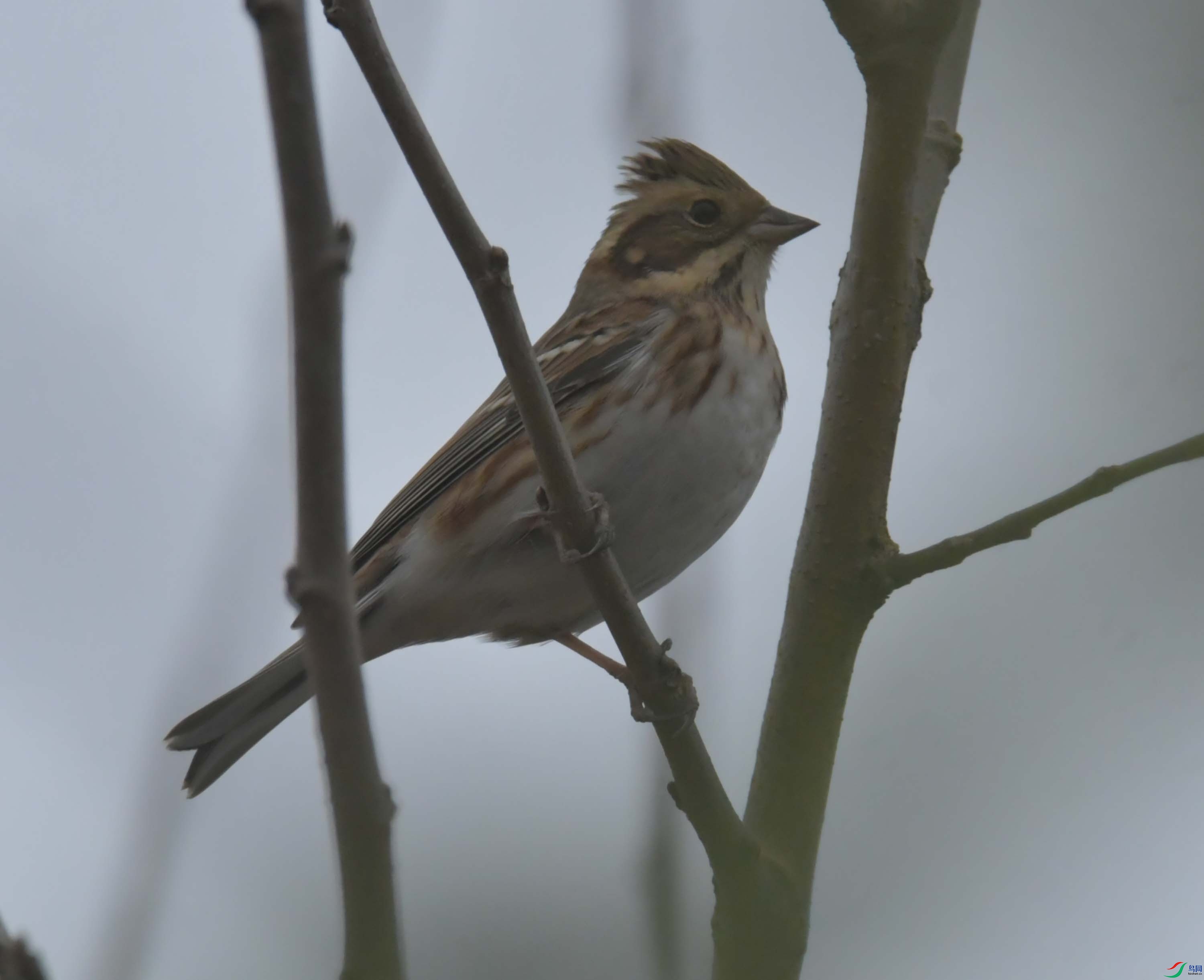 DSC_4375.JPG