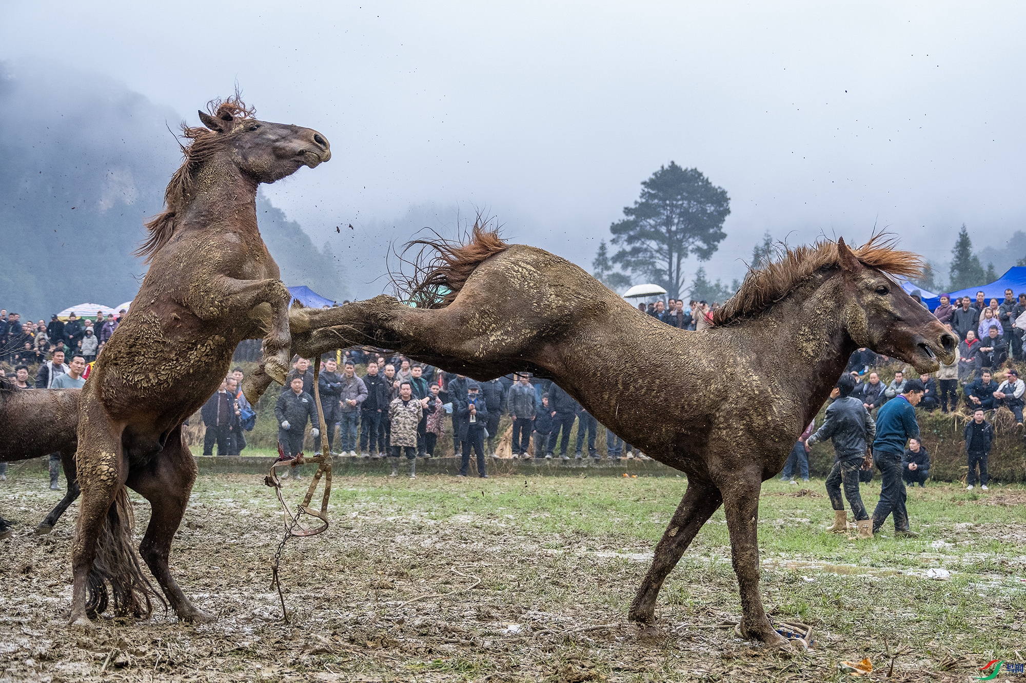 DSC_1770 ����22.jpg