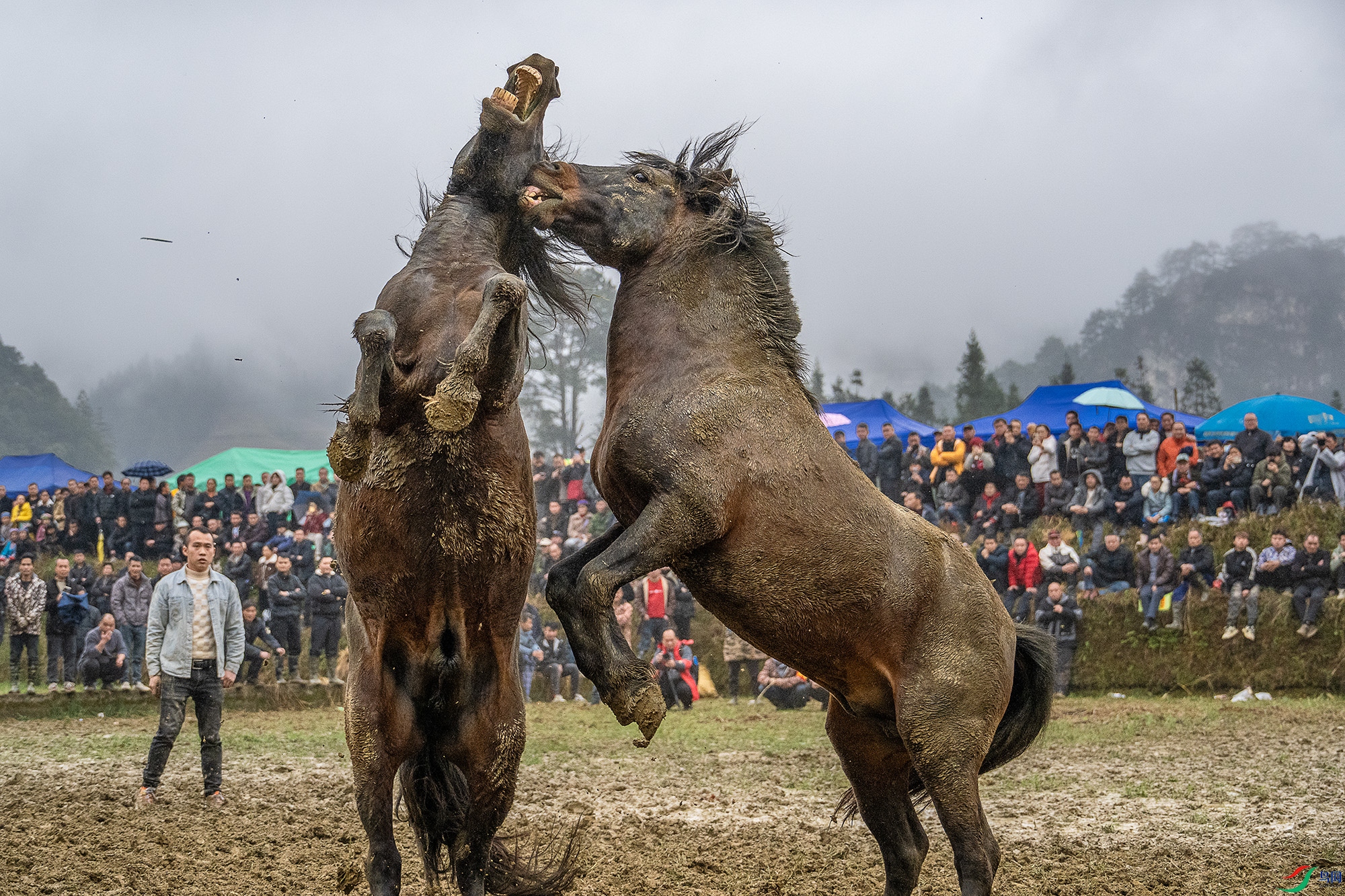 DSC_2945 ����2.jpg