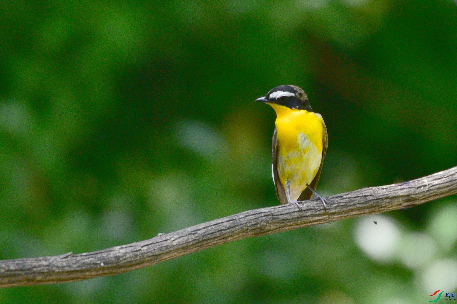 DSC_6075.JPG