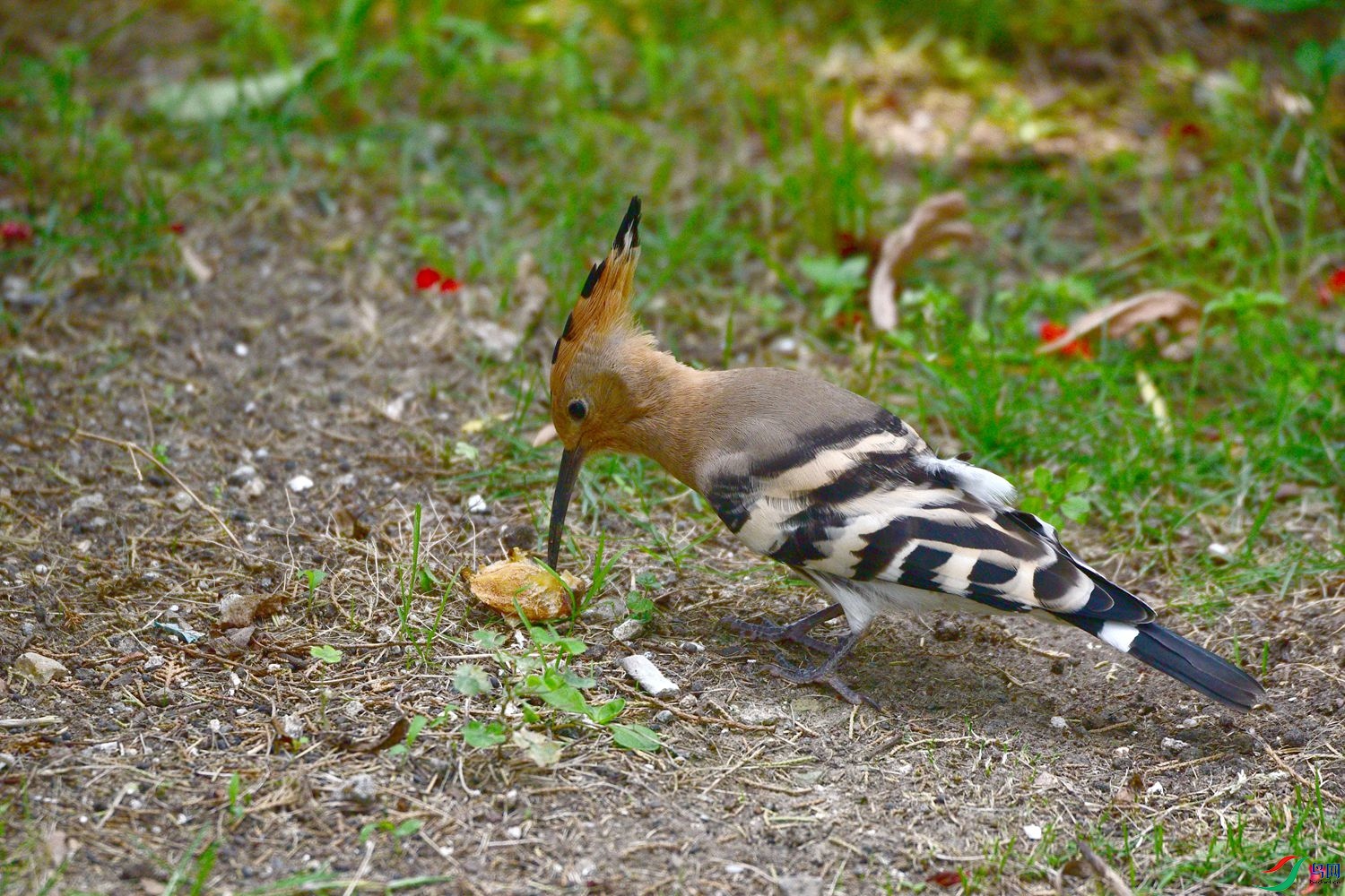 DSC_8044.JPG