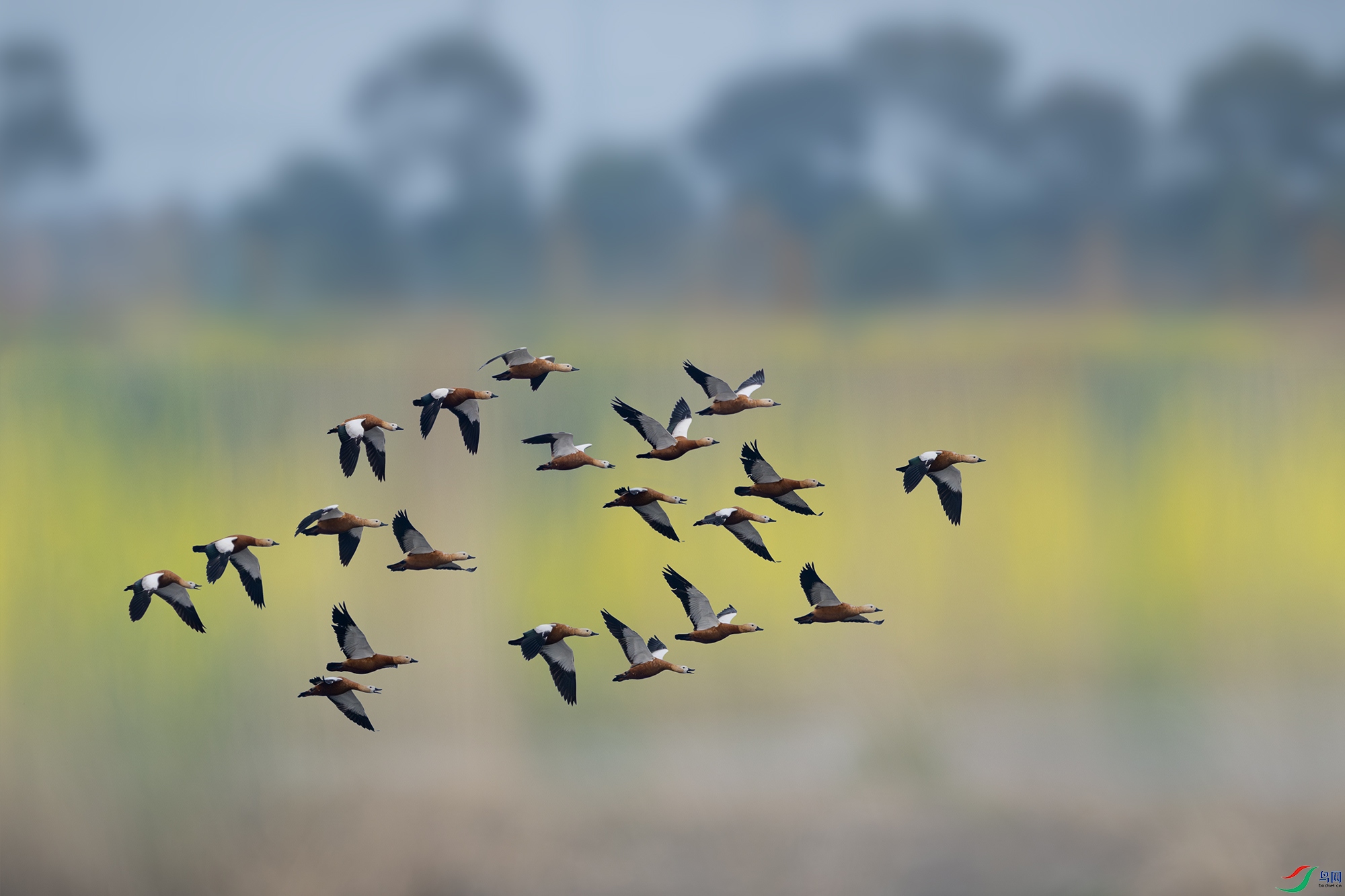 _DSC4008 ����С.jpg