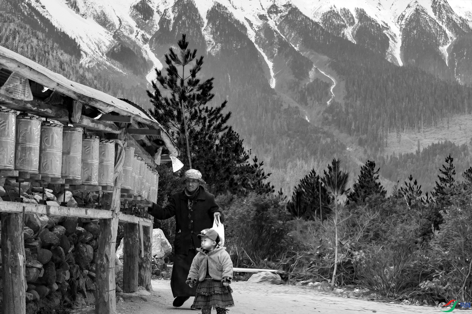 A68O6308 ���� 2.jpg