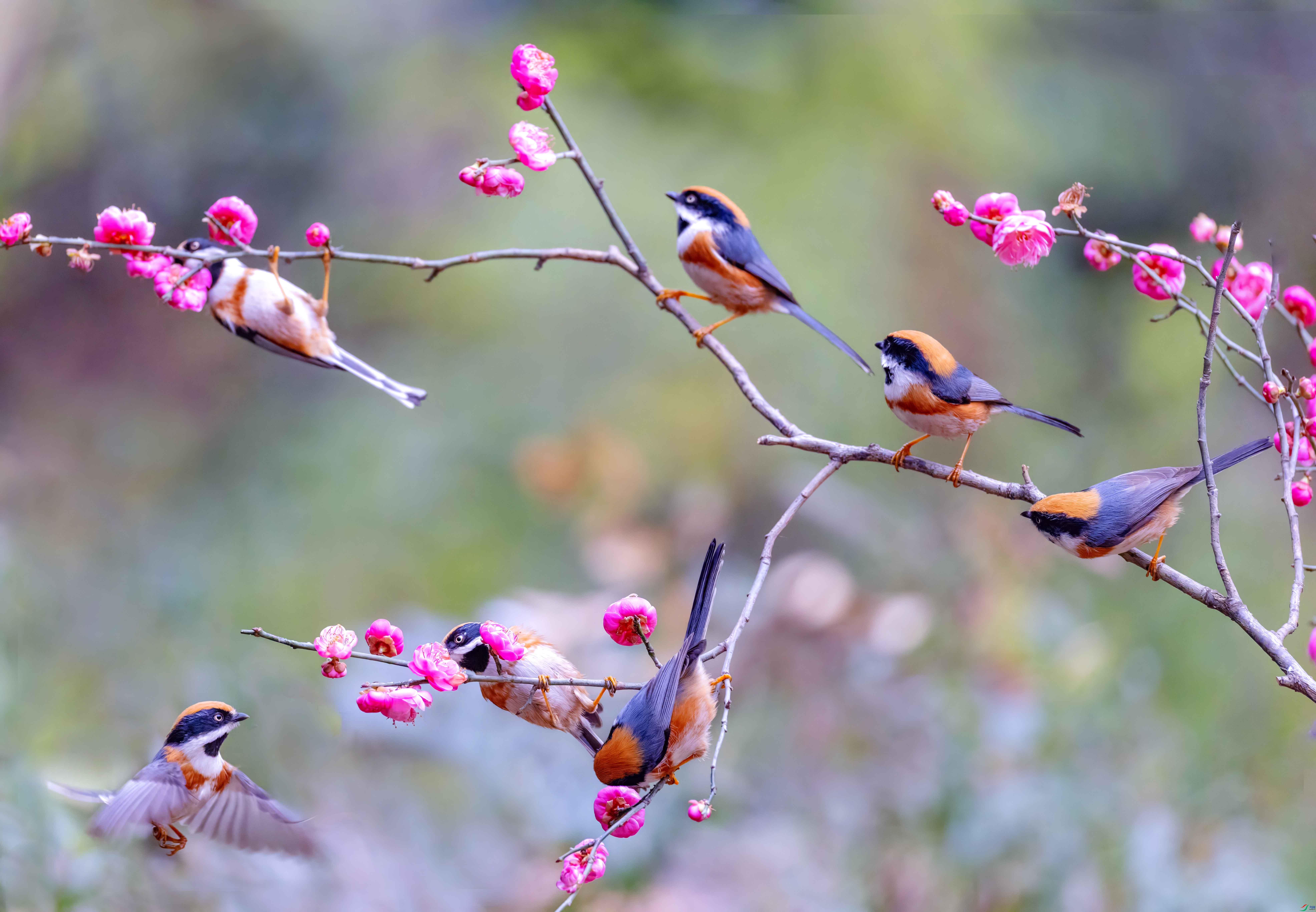 5N9A2206 ���� 3.jpg