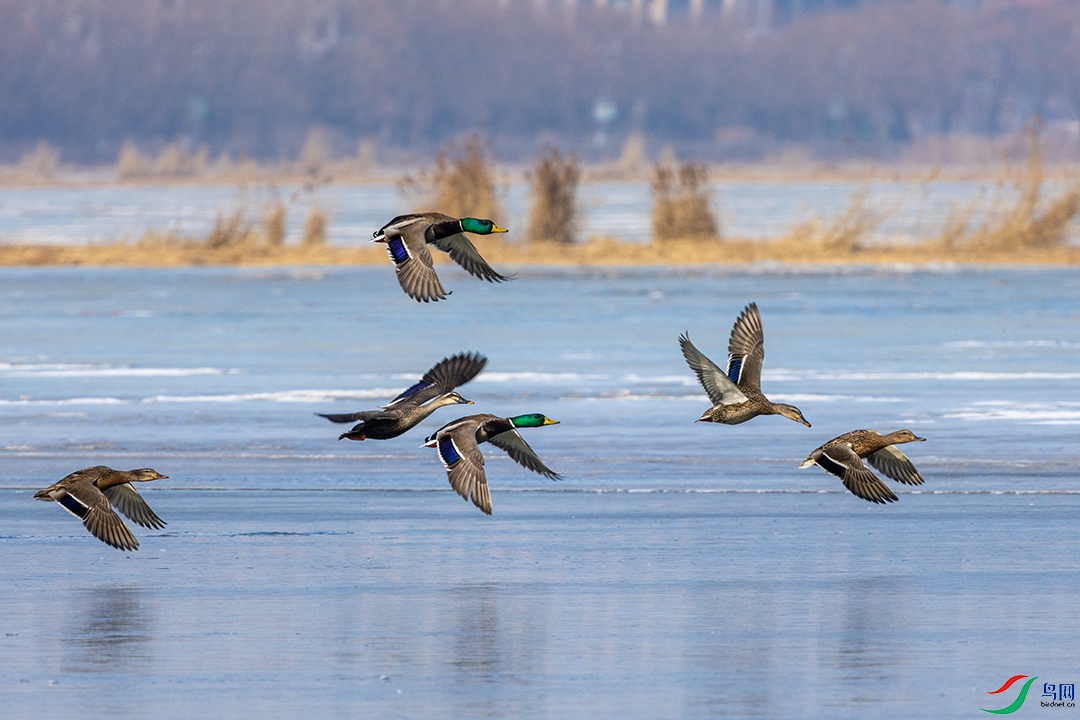 20260219 (12) ����.jpg